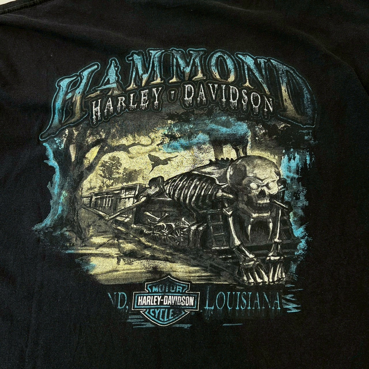 Vintage 00's Harley-Davidson "Hammond Harley Davidson" S/S Tee Size XL 00's ハーレー・ダビットソン "ハモンド ハーレーダビッドソン" Tシャツ サイズXL