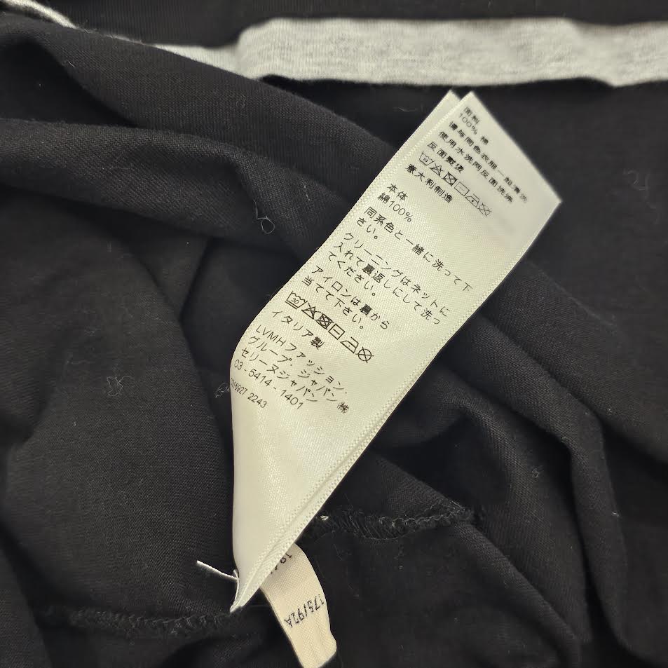 CELINE 2023SS 16 Skater Cotton Jersey Tee 2X87E671Q Size L セリーヌ 16 スケーター コットンジャージー Tシャツ サイズL