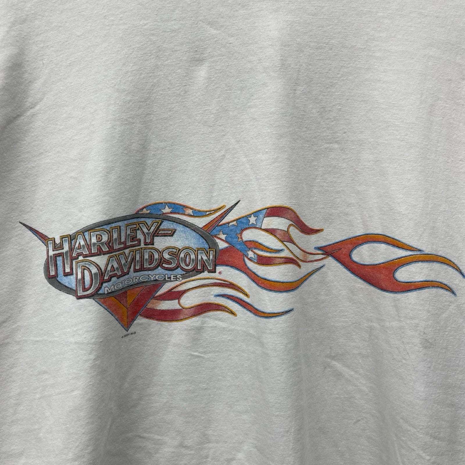 Vintage 00's Harley-Davidson "NORTH WEST" Mountain Camp 2001 L/S Tee Size XXXL