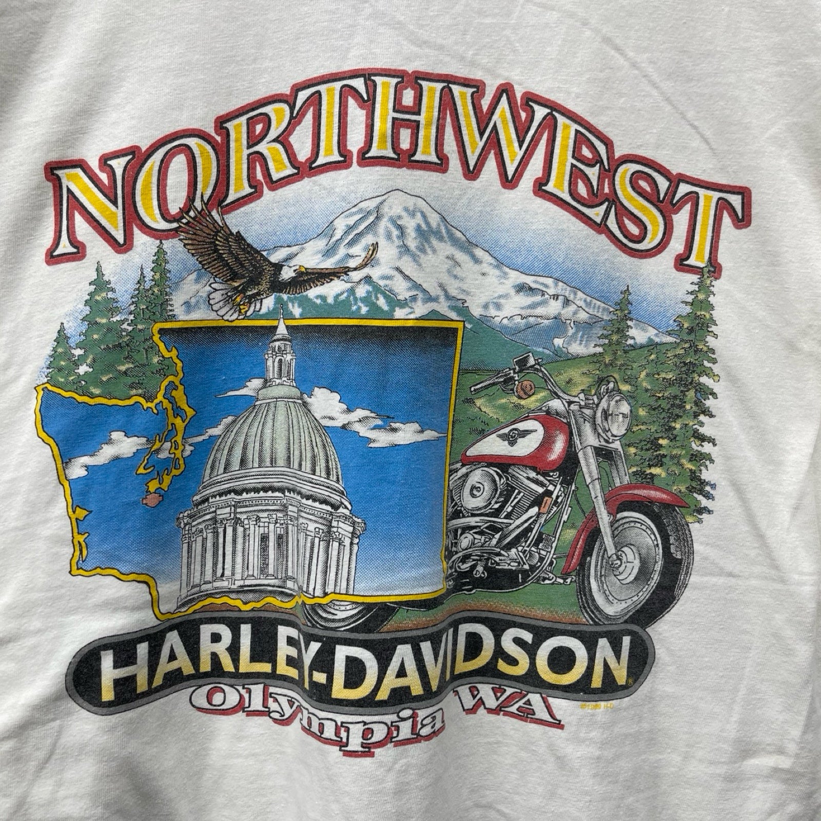 Vintage 00's Harley-Davidson "NORTH WEST" Mountain Camp 2001 L/S Tee Size XXXL