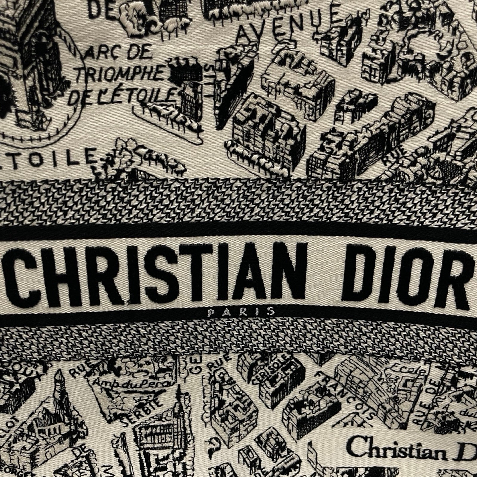 DIOR 2023AW Dior Book Tote Medium M1296ZOMP_M76E