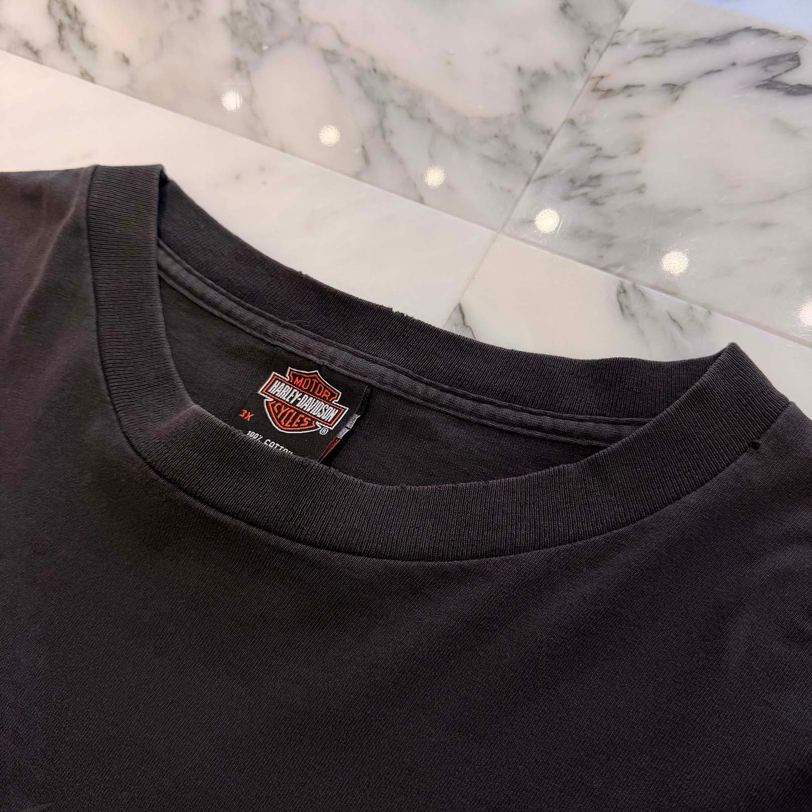 Vintage 90’s Harley-Davidson "Spider Web" Long Sleeve Tee Size XXXL ヴィンテージ 90’s ハーレー・ダビットソン "スパイダーウェブ" ロングスリーブTシャツ サイズXXXL