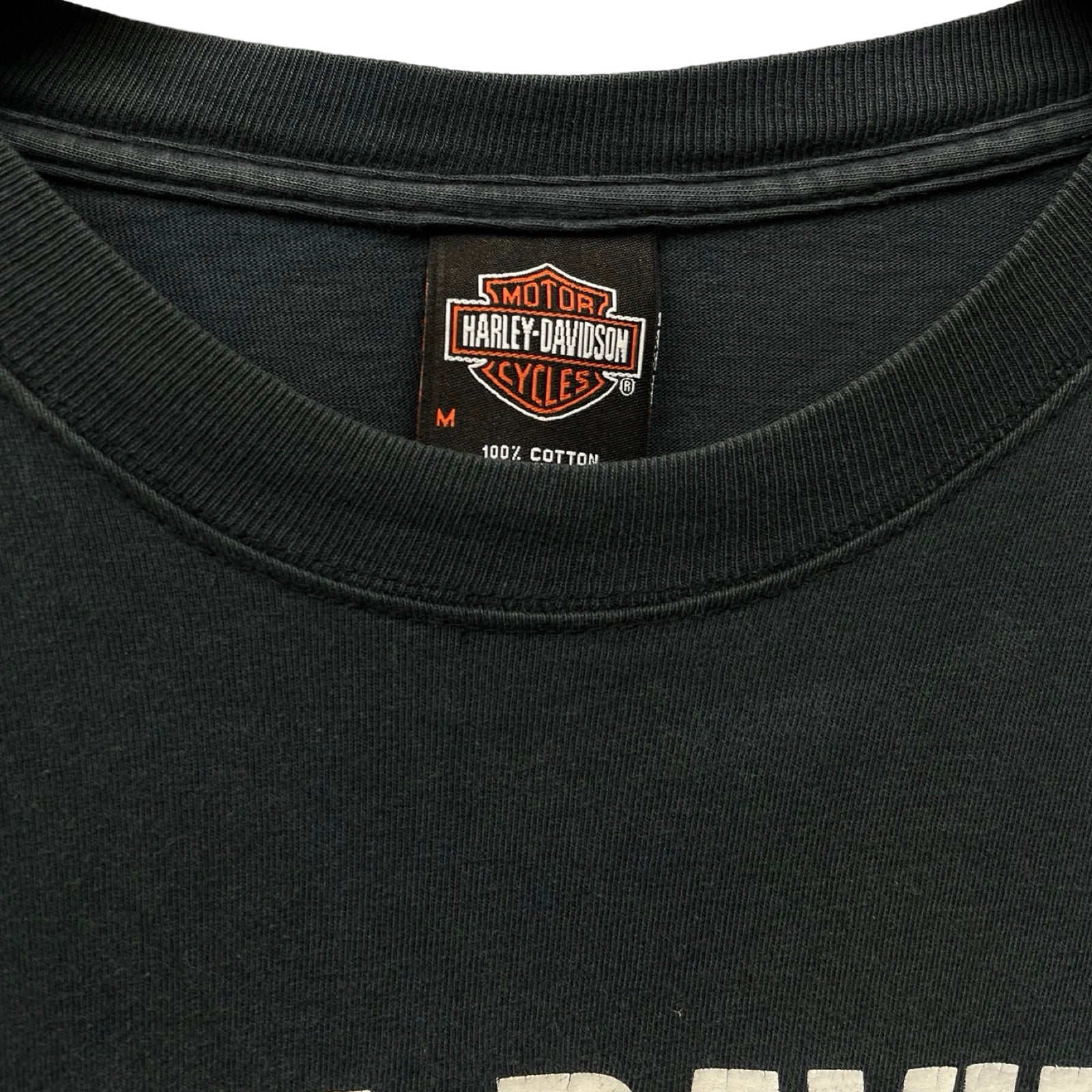 Vintage 00’s Harley-Davidson "CHICAGO" City Lights 2002 L/S Tee Size M