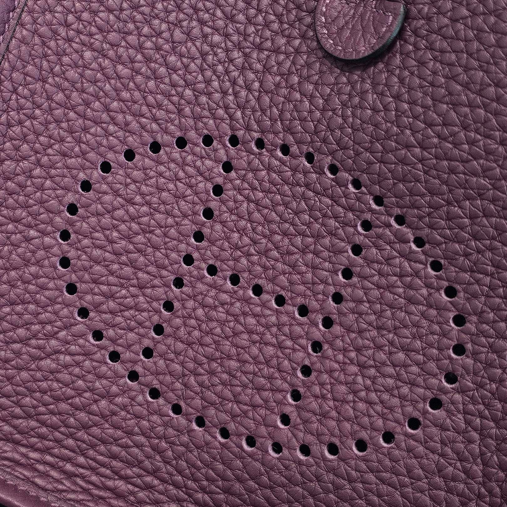 HERMES Evelyn Amazon TPM "Anemone" W刻印 エルメス エブリン アマゾン TPM "アネモネ" レザーショルダーバッグ W刻印