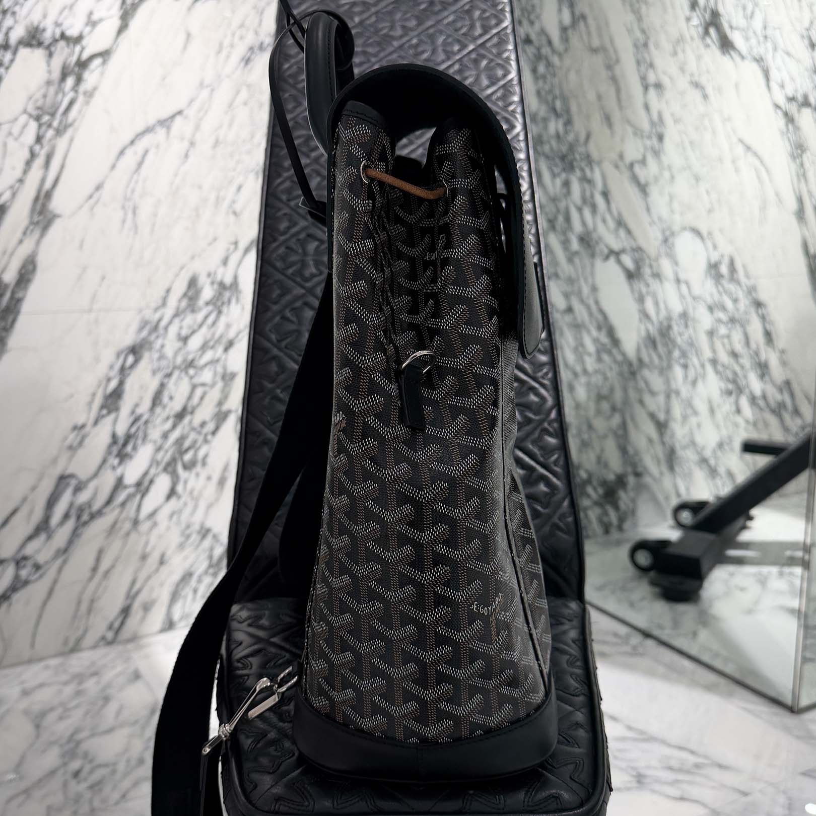 GOYARD Alpan Backpack MM ALPIN2MMLTY01CL01P ゴヤール アルパン バックパック MM