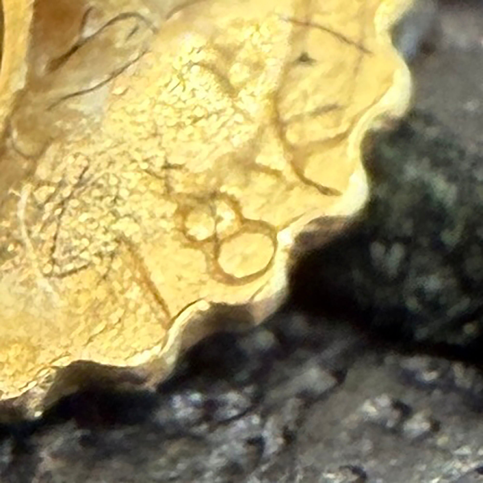 CHROME HEARTS 22K TINY E CH PLUS Earring 1 Diamond クロムハーツ 22K タイニーE CHプラス イヤリング ピアス 1ダイヤモンド