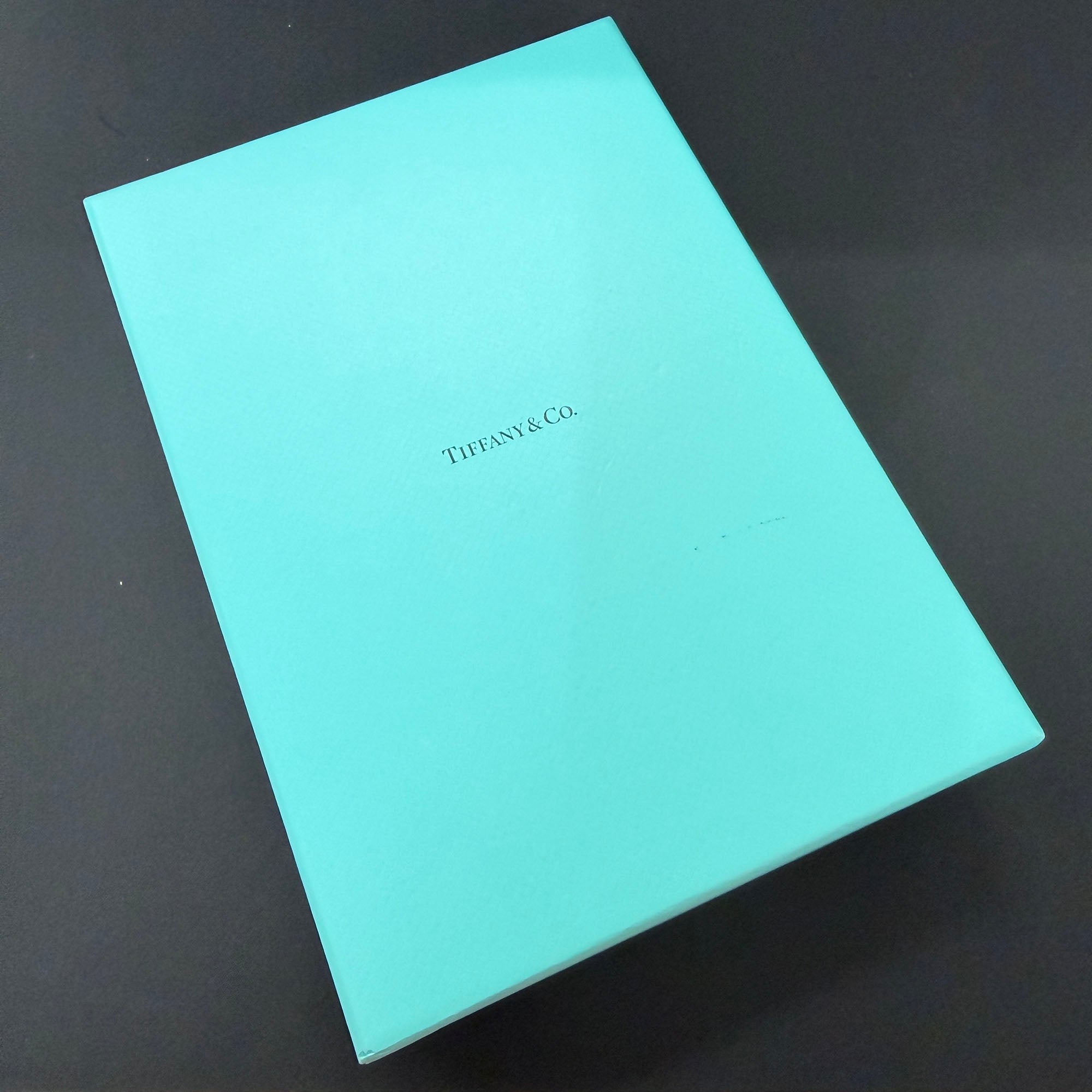 Tiffany Co. Forge Medium Link Necklace ティファニー フォージ ミディアム リンク ネックレス