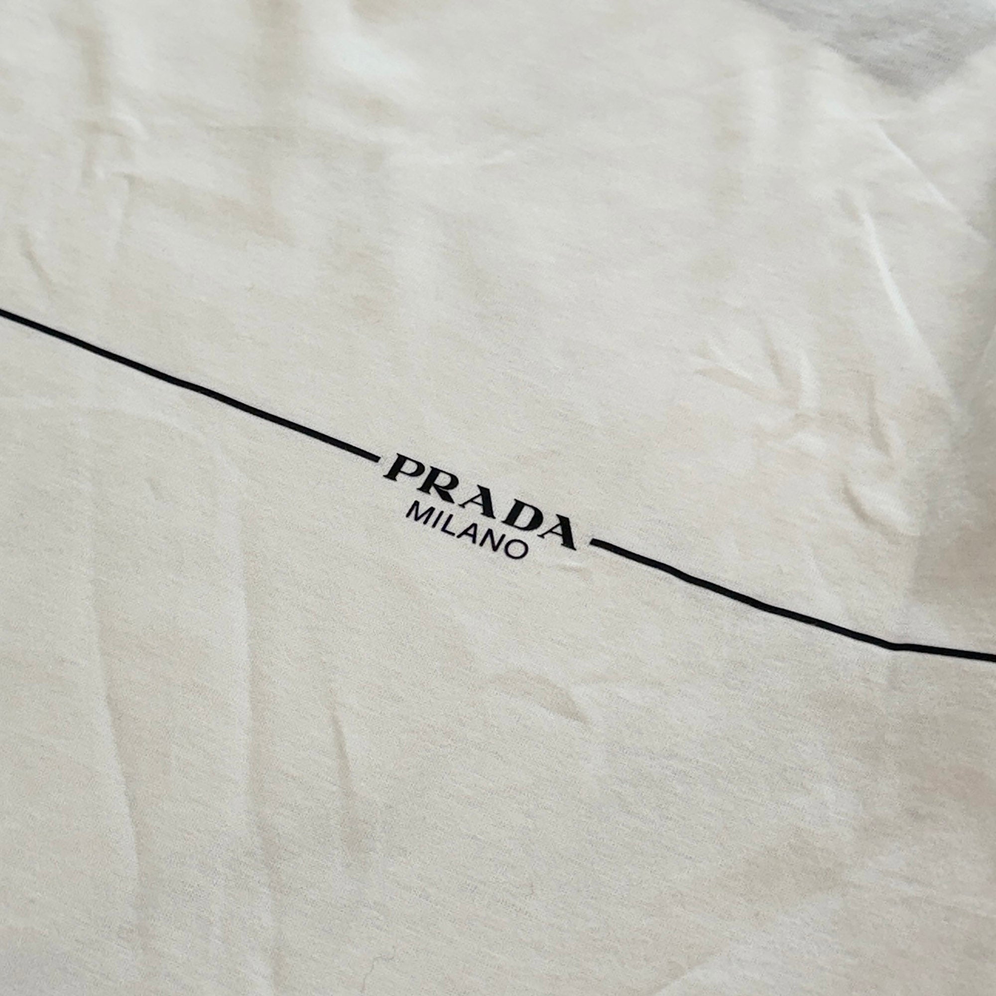 PRADA 2020SS  Logo Print Crew Neck Cotton Tee UJN656 R201 1WPG Size L プラダ ロゴプリント クルーネック コットン Tシャツ サイズL