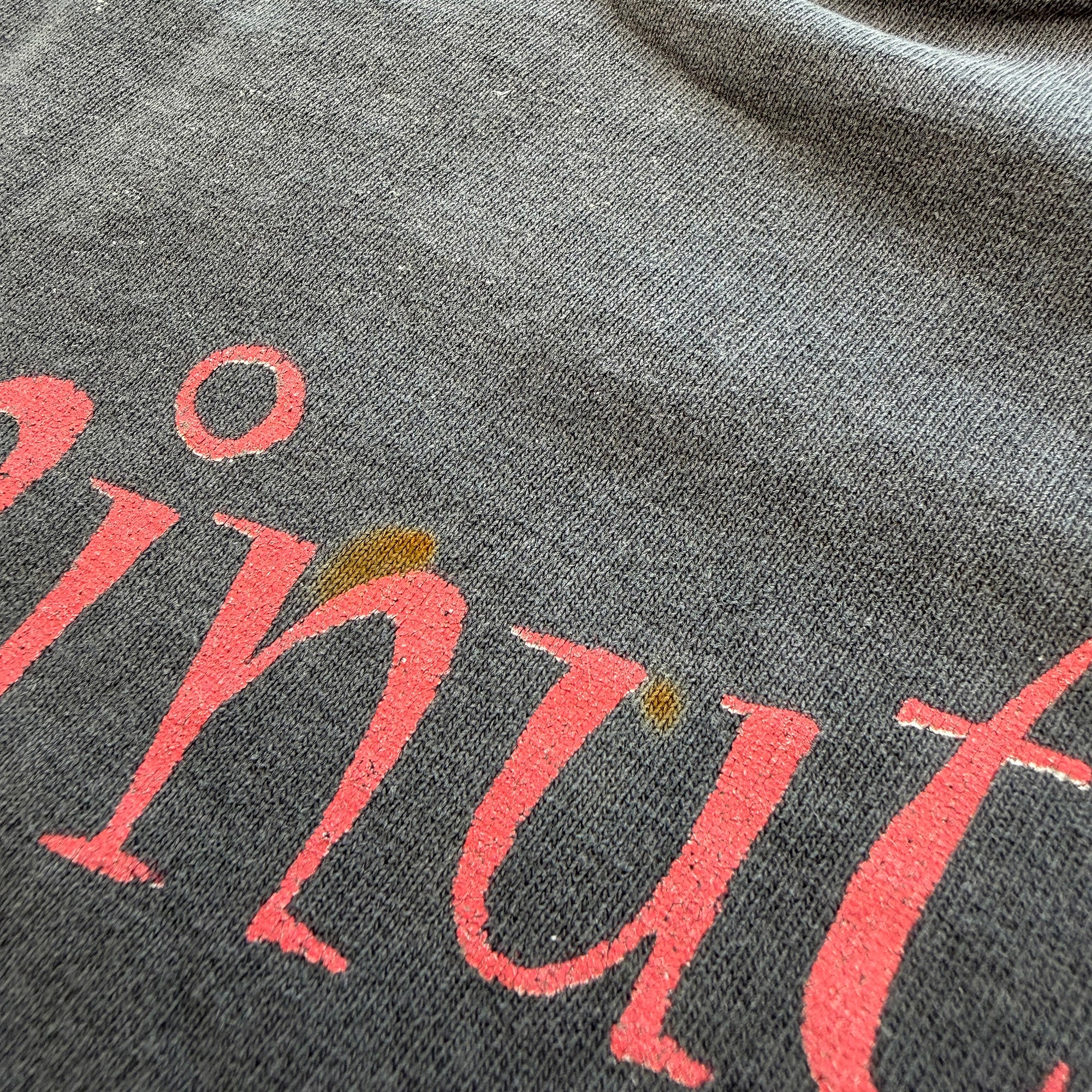 Vintage 90's Red Hot Chili Peppers "One Hot Minute 1995" giant S/S Tee Size XL ヴィンテージ 90's レッド ホット チリ ペッパーズ "ワン ホット ミニット1995" ジャイアント社製Tシャツ サイズXL