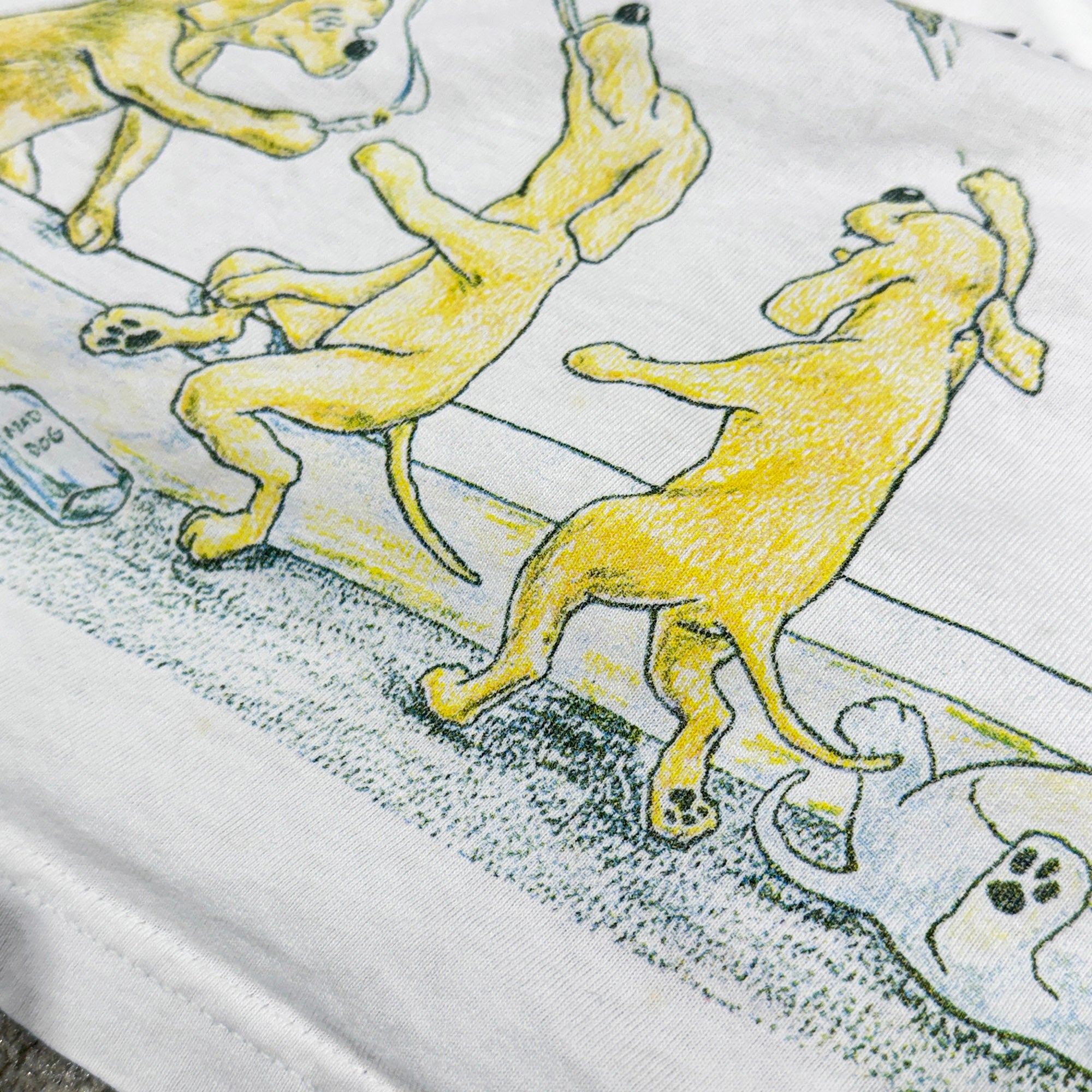Vintage 90's Green Day "Dookie" 1994 BROCKUM S/S Tour Tee Size XL ヴィンテージ 90's グリーン デイ "ドゥーキー" 1994 ブロックム社製 ツアーTシャツ サイズXL