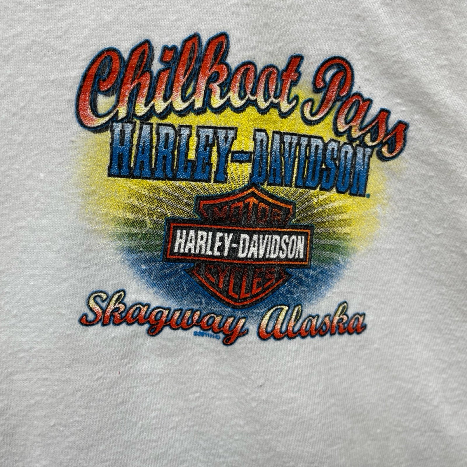 Vintage 00's Harley-Davidson "Chilkoot Pass" 2011 L/S Tee Size L
