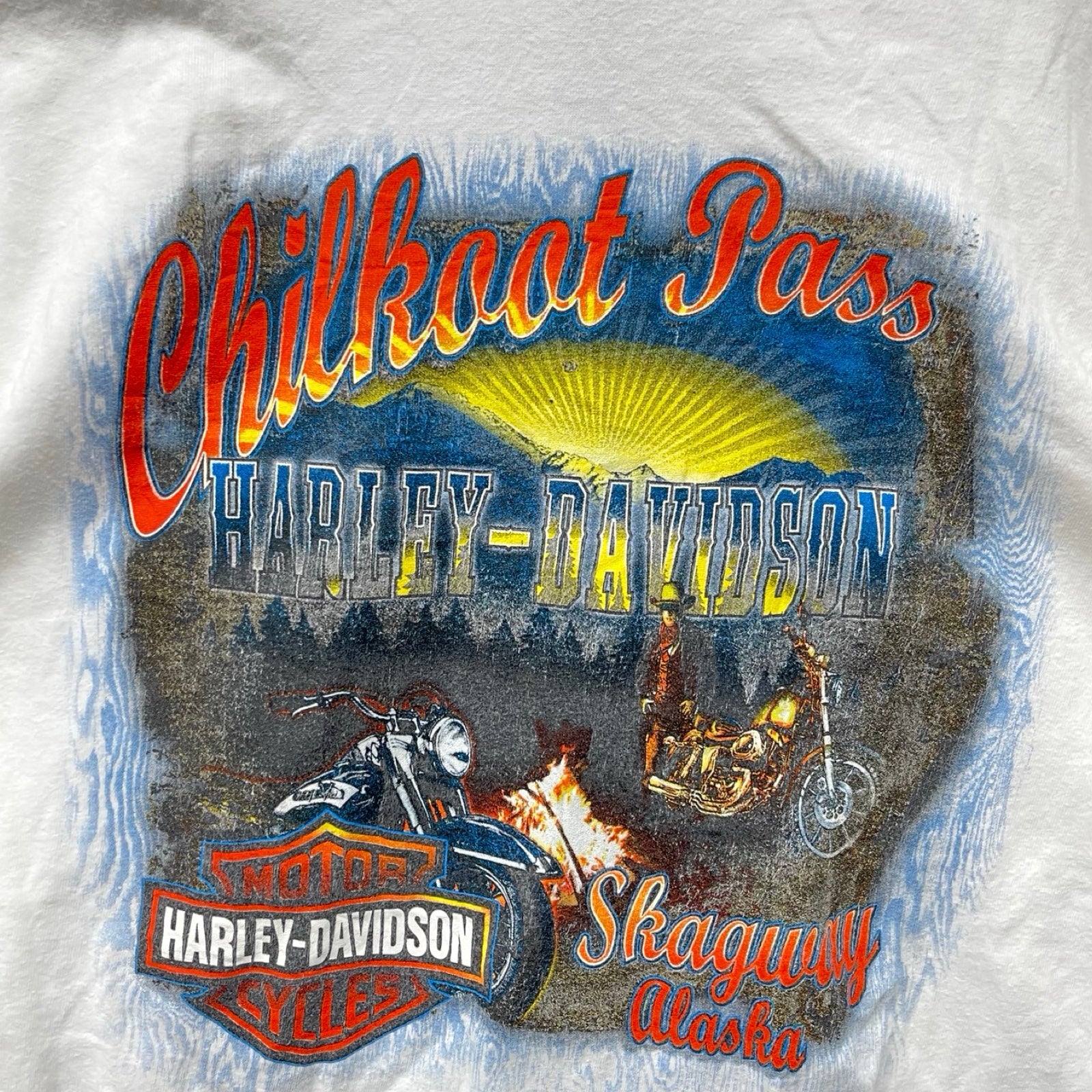Vintage 00's Harley-Davidson "Chilkoot Pass" 2011 L/S Tee Size L