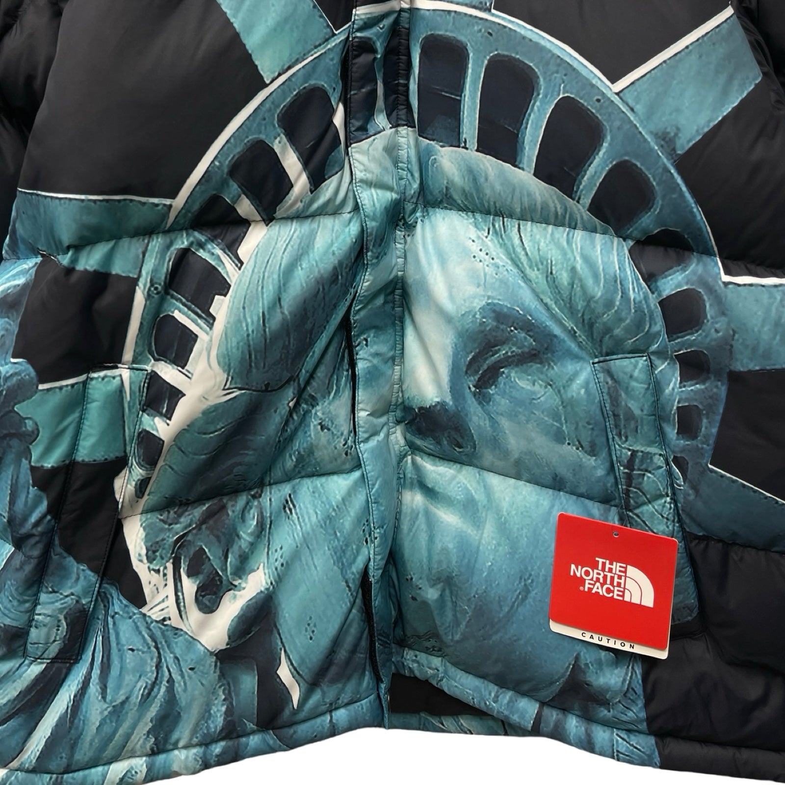 Supreme × THE NORTH FACE 2019AW Statue Of Liberty Baltro Jacket Size M