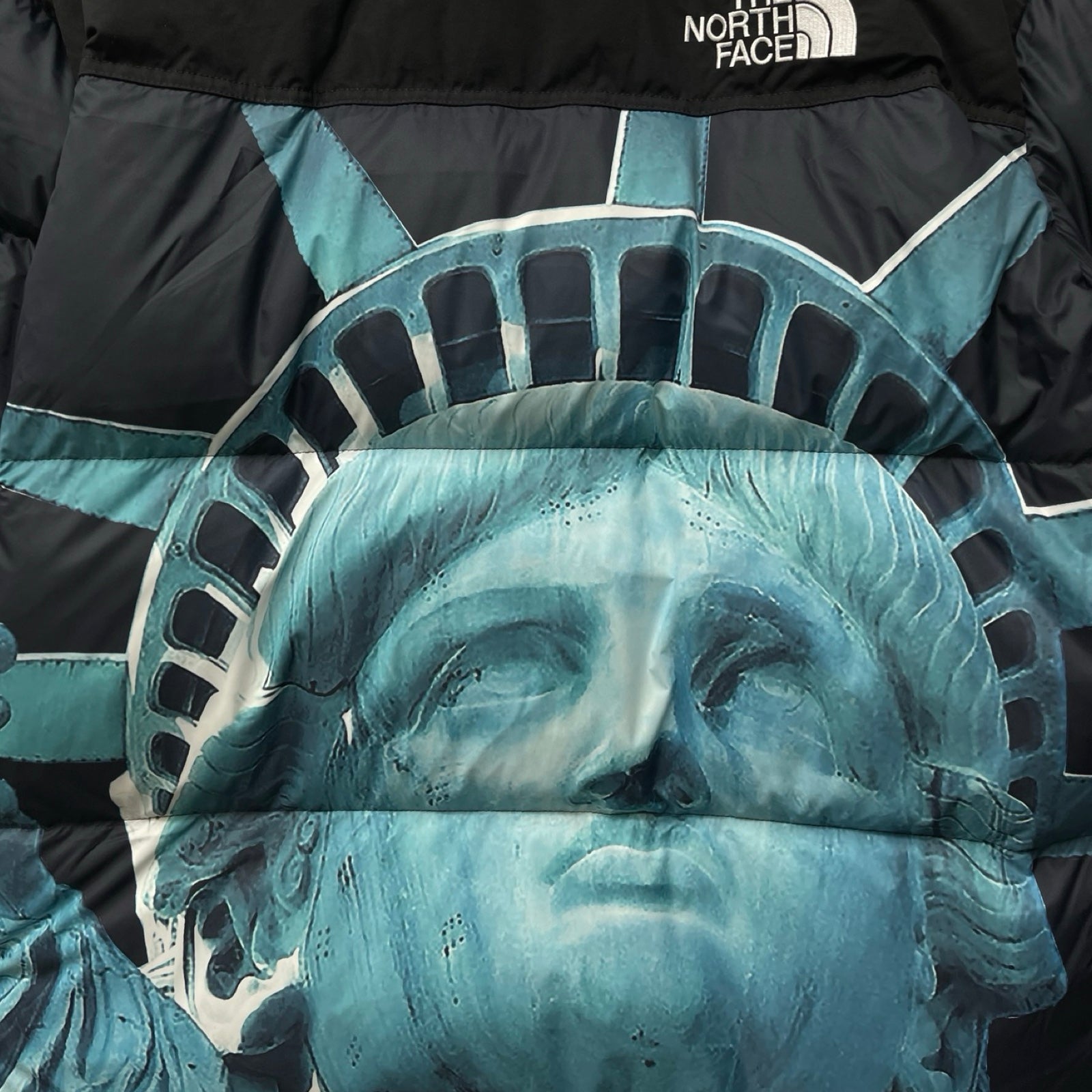 Supreme × THE NORTH FACE 2019AW Statue Of Liberty Baltro Jacket Size M