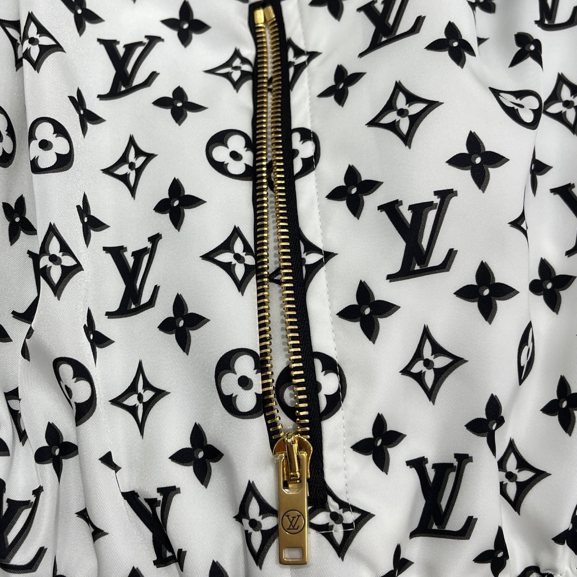 LOUIS VUITTON Reversible Pinstripe Nylon Hooded Jacket 1ABR98 Size 40 ルイヴィトン リバーシブル ピンストライプ ナイロンフードジャケット サイズ40