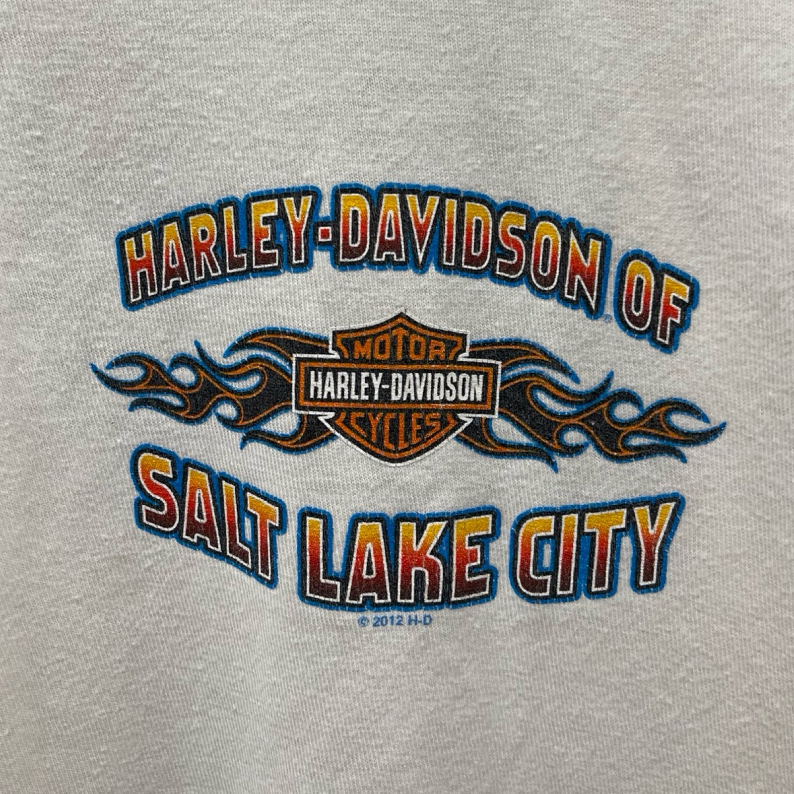 Vintage 00's Harley-Davidson "SALT LAKE CITY" 2010 L/S Tee Size XXL