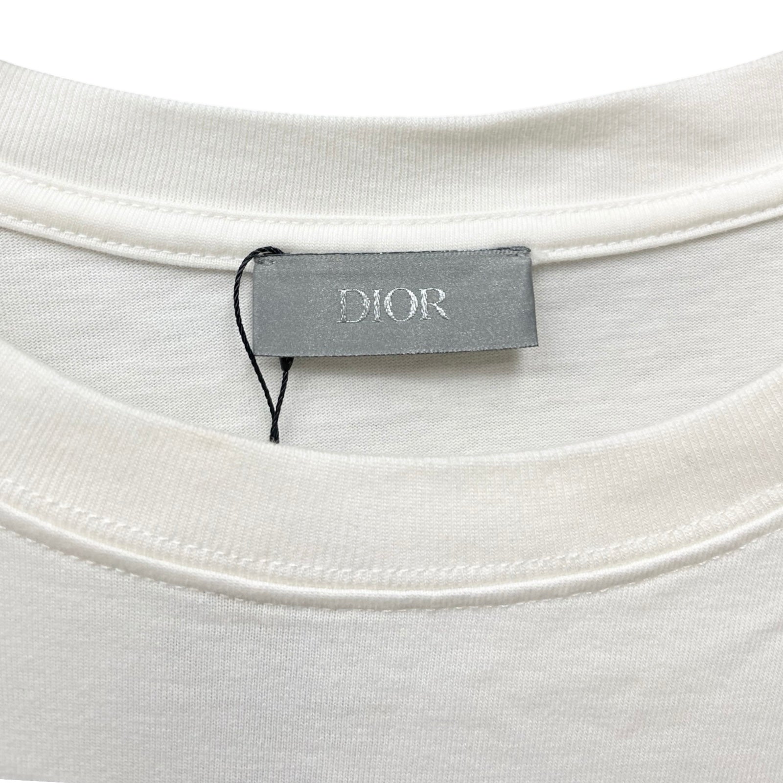 DIOR 2024AW Italic Coral Logo Short Sleeve T-Shirt 483J696C0847 Size M