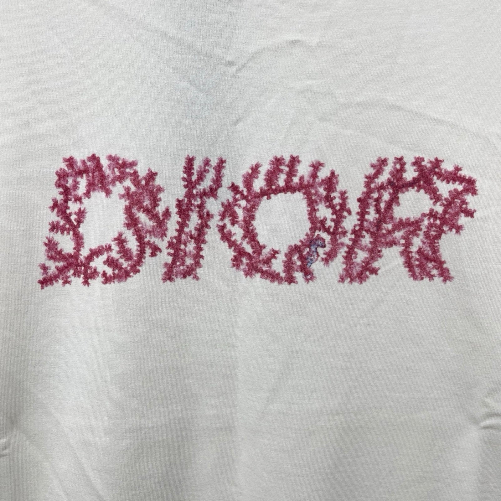 DIOR 2024AW Italic Coral Logo Short Sleeve T-Shirt 483J696C0847 Size M