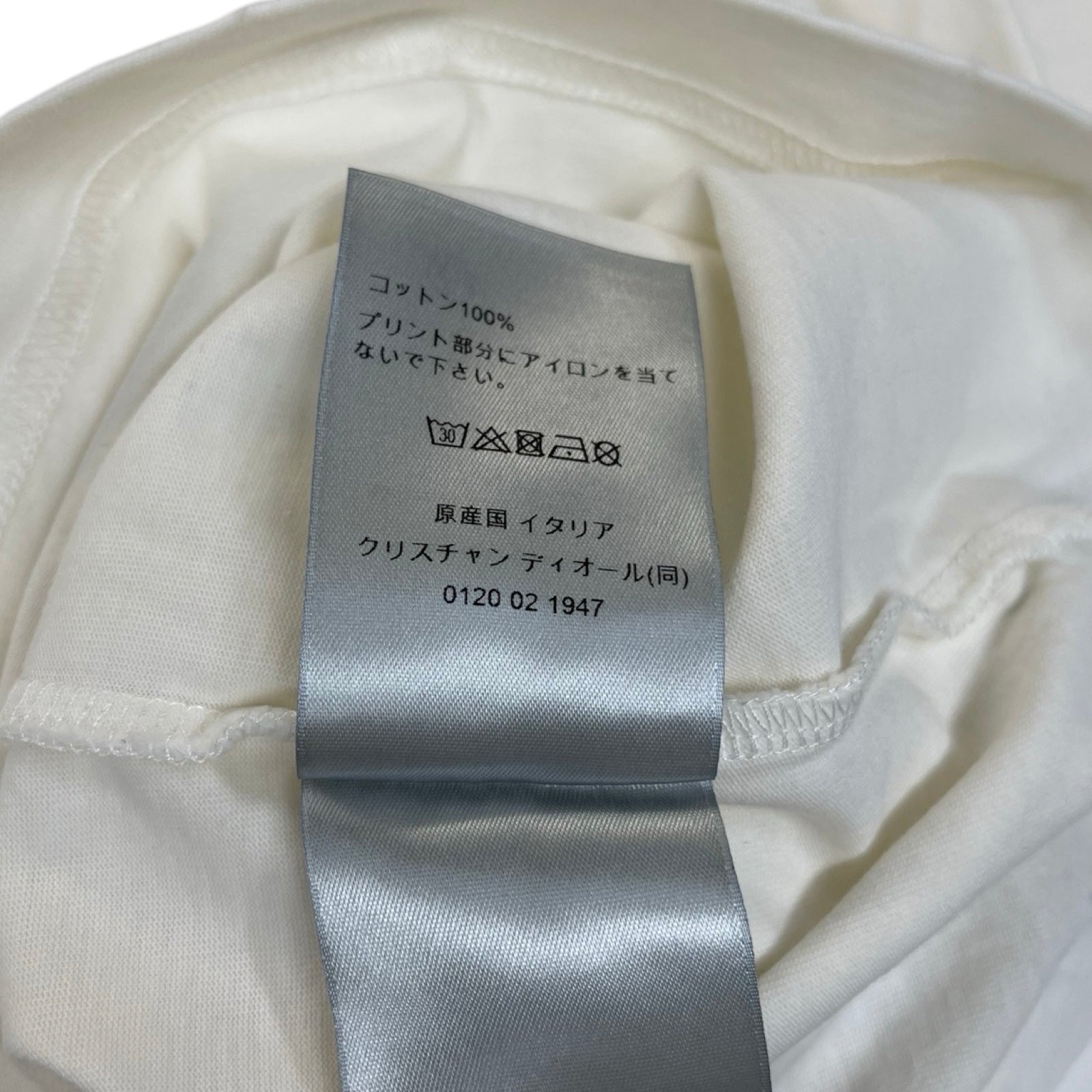 DIOR 2024AW Italic Coral Logo Short Sleeve T-Shirt DIOR 2024AW Italic Coral Logo Short Sleeve T-Shirt
