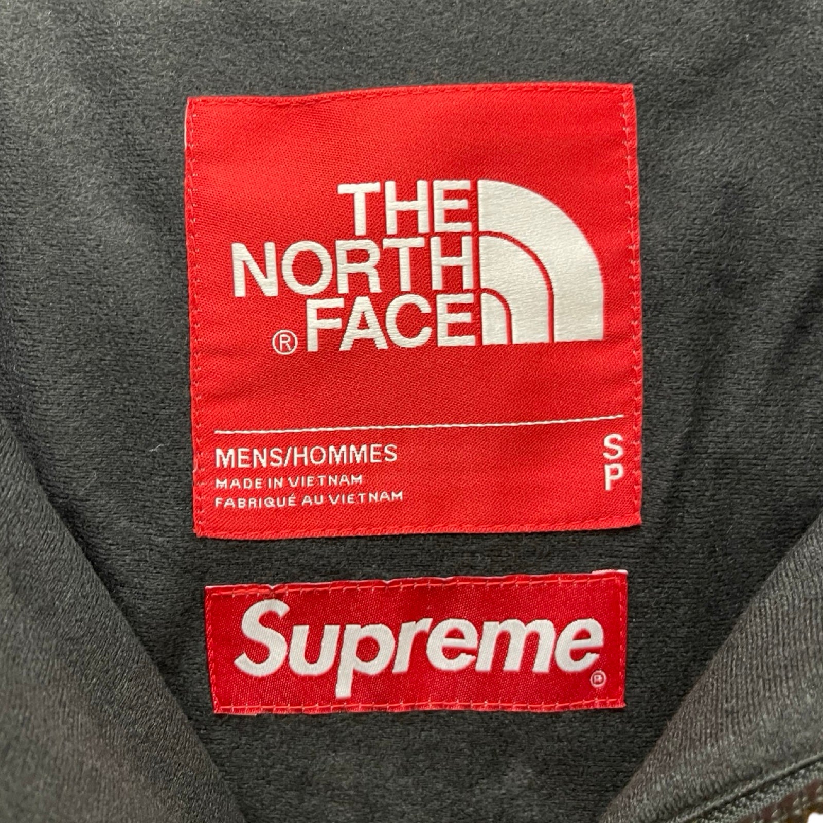 Supreme × THE NORTH FACE 2018SS Metallic Mountain Parka Gold Size S