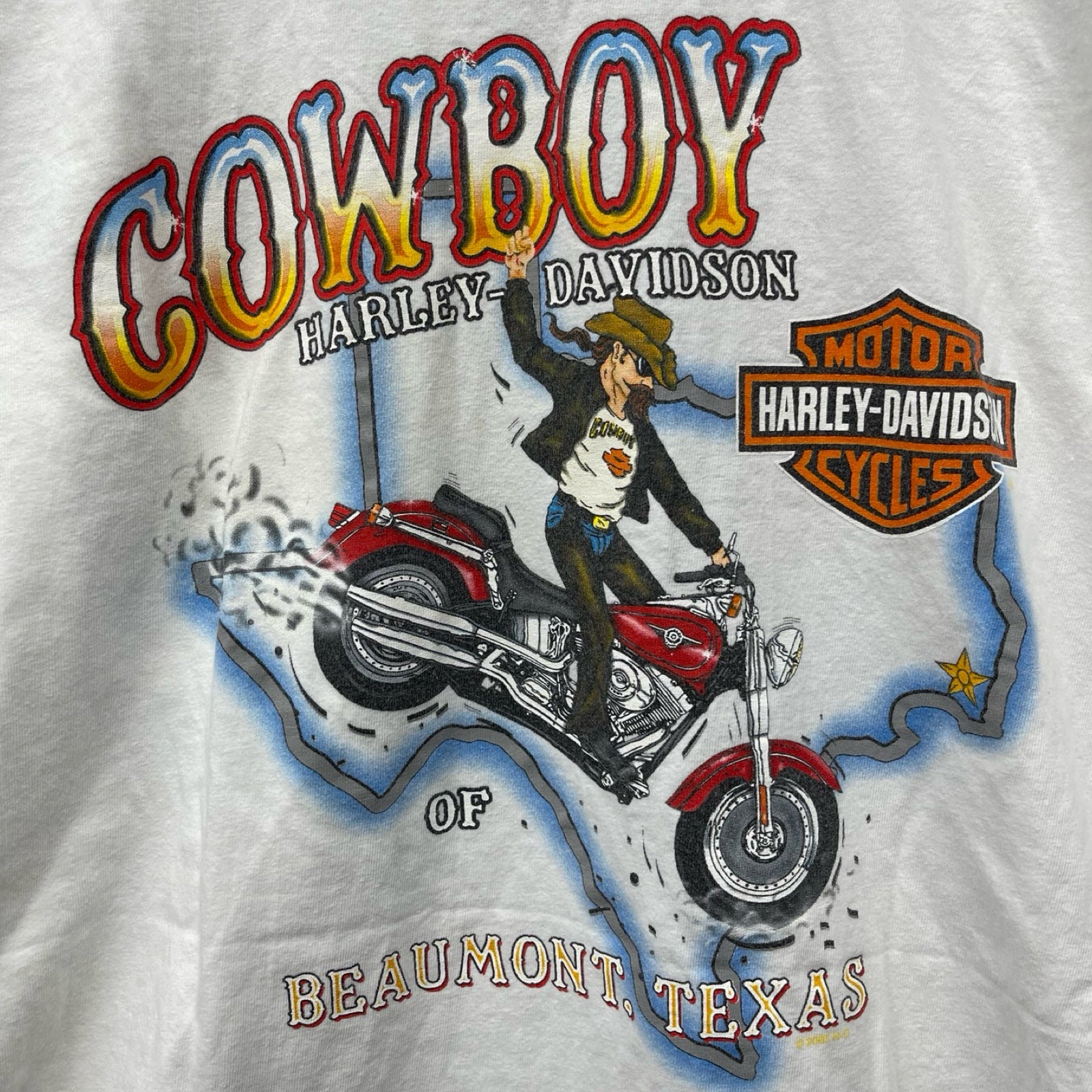 Vintage 00's Harley-Davidson "COWBOY of TEXAS" 2005 L/S Tee Size 3XL