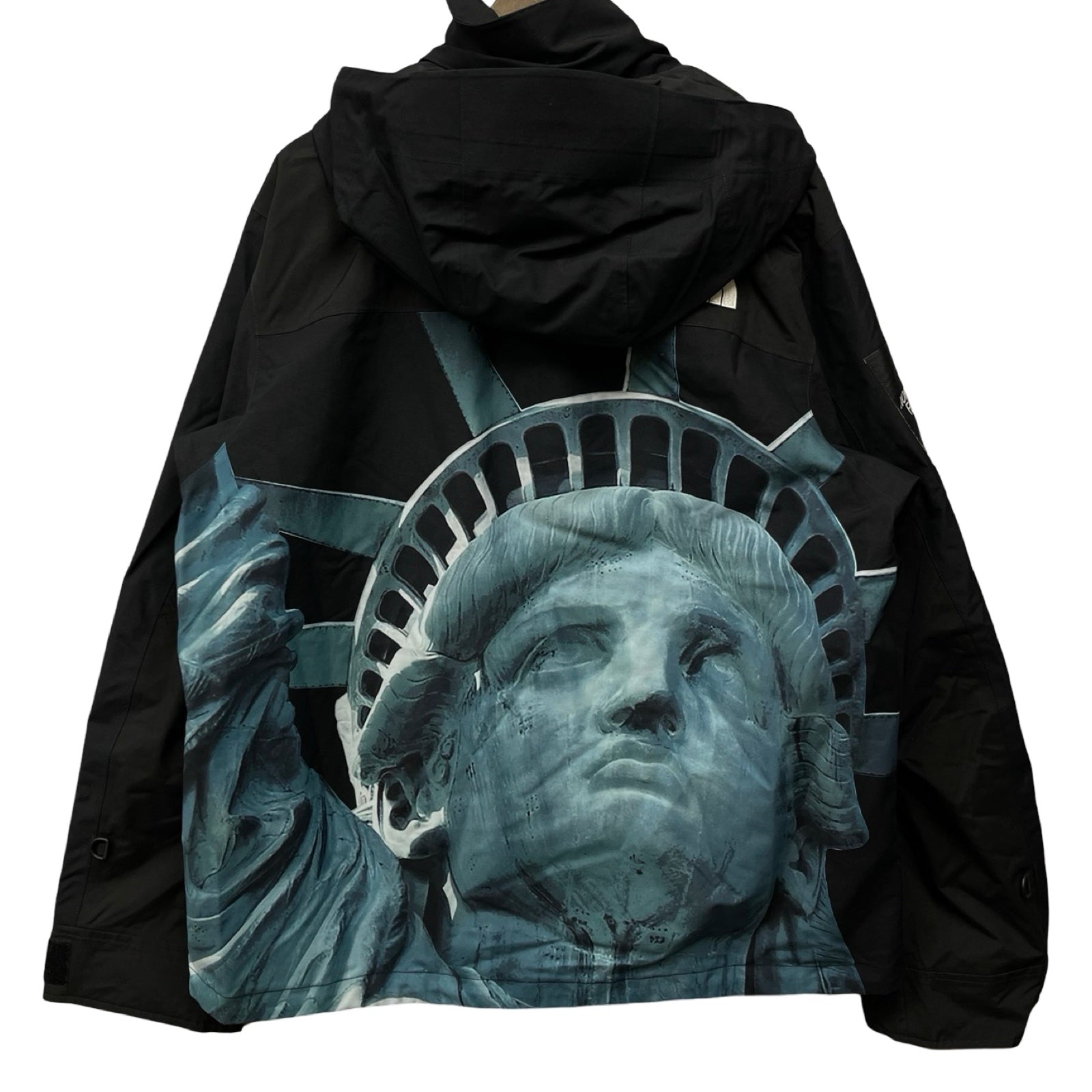 Supreme × THE NORTH FACE 2019AW Statue Of Liberty Mountain Jacket Size M