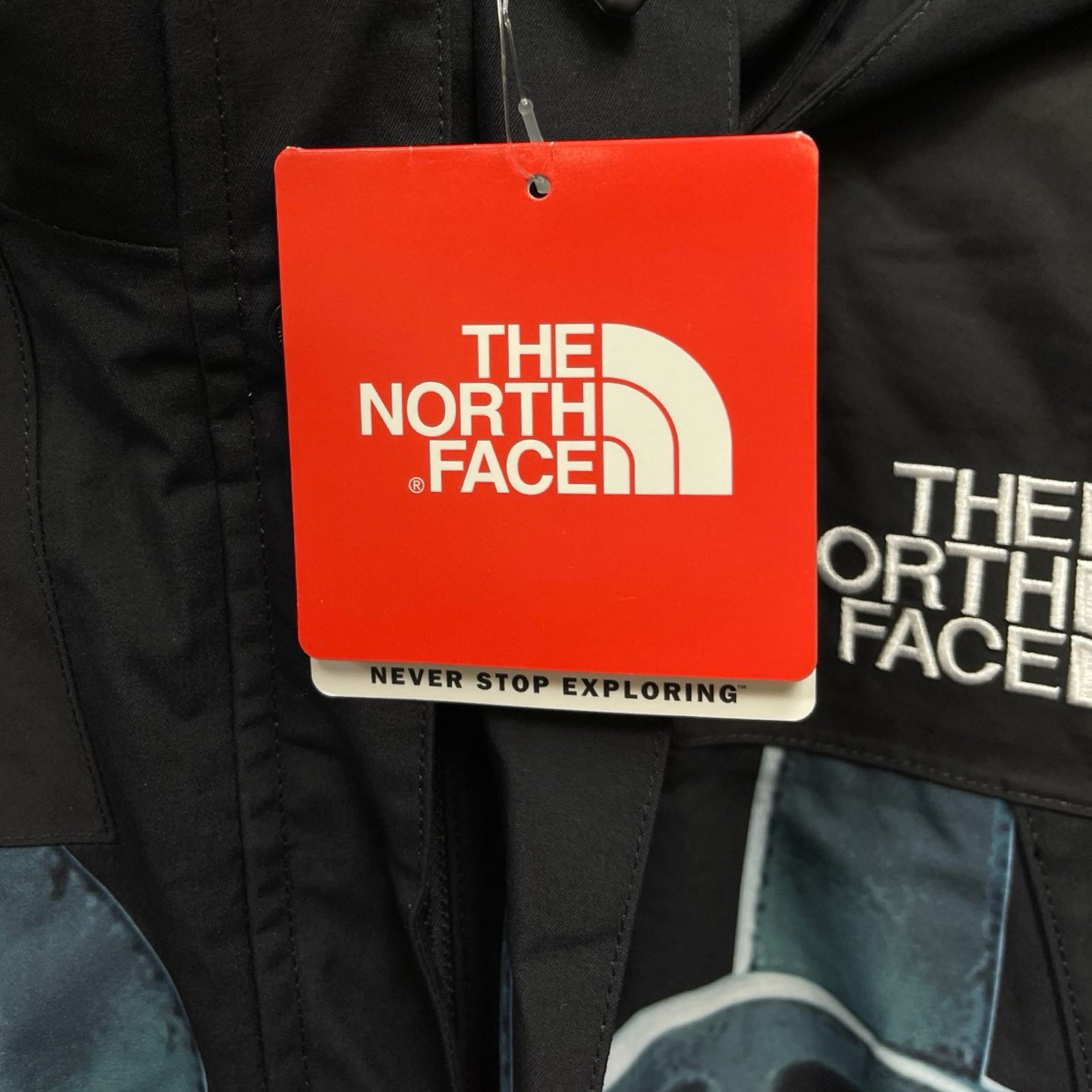 Supreme × THE NORTH FACE 2019AW Statue Of Liberty Mountain Jacket Size M