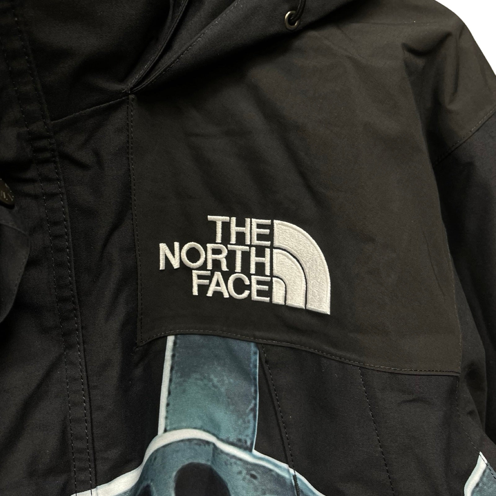 Supreme × THE NORTH FACE 2019AW Statue Of Liberty Mountain Jacket Size M