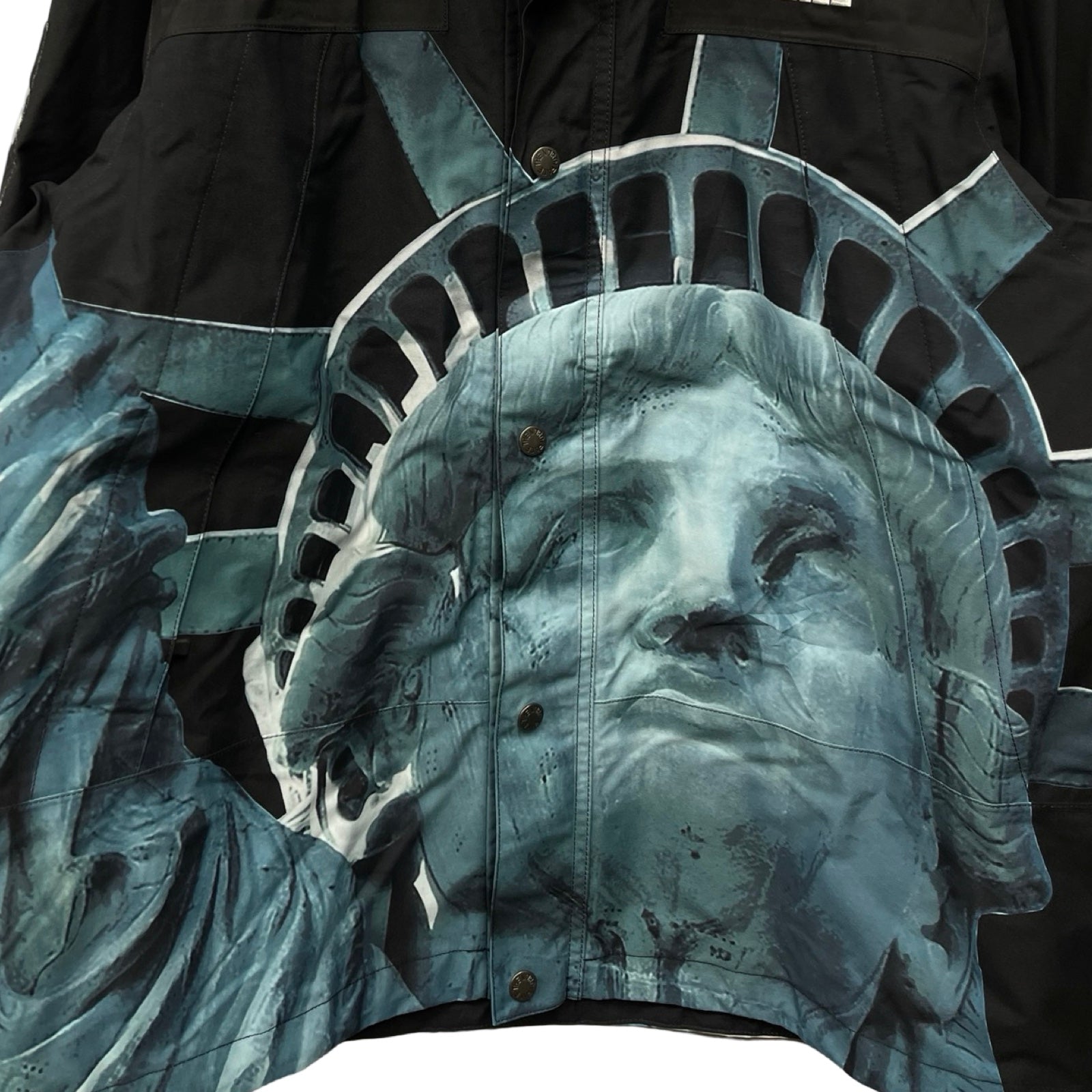 Supreme × THE NORTH FACE 2019AW Statue Of Liberty Mountain Jacket Size M