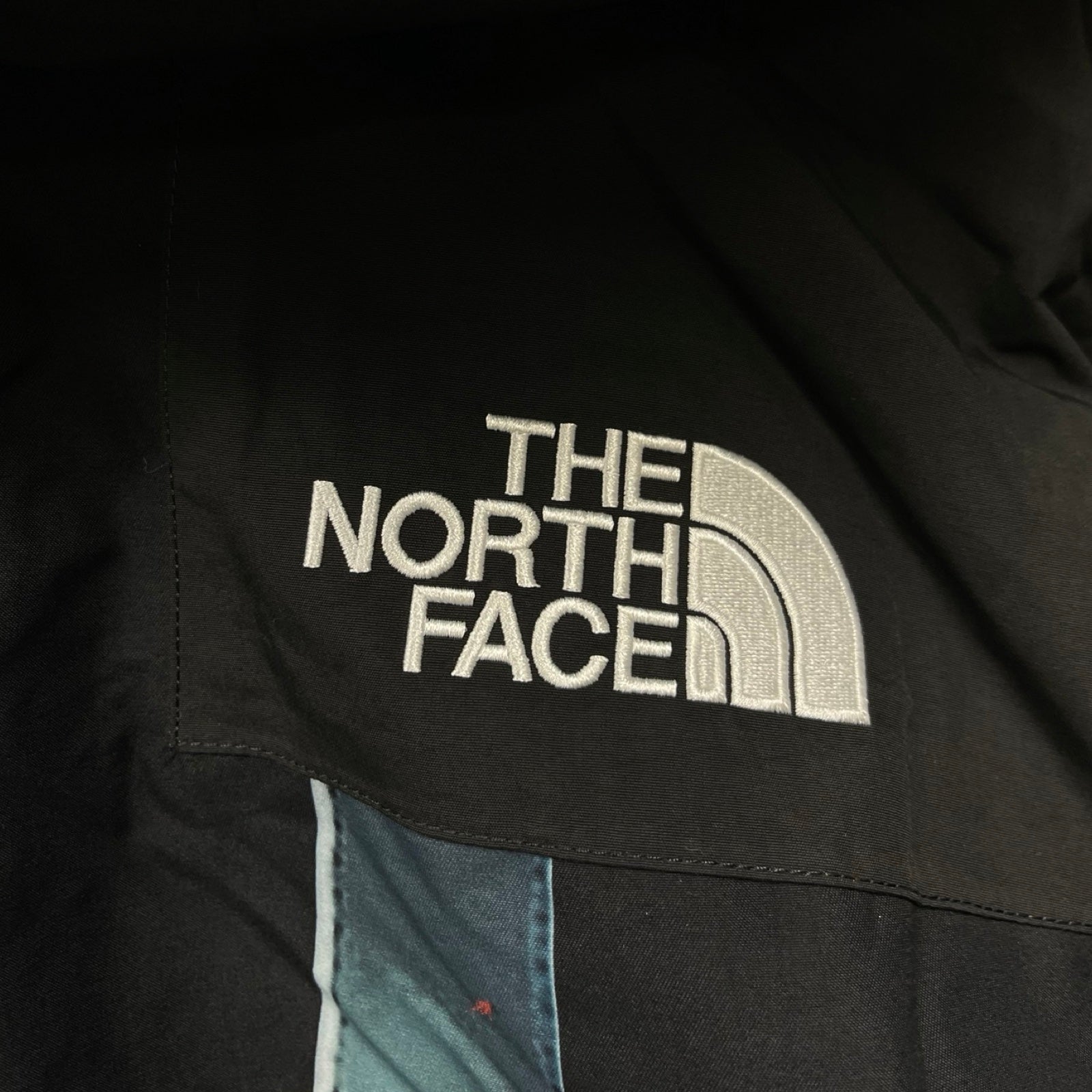 Supreme × THE NORTH FACE 2019AW Statue Of Liberty Mountain Jacket Size M