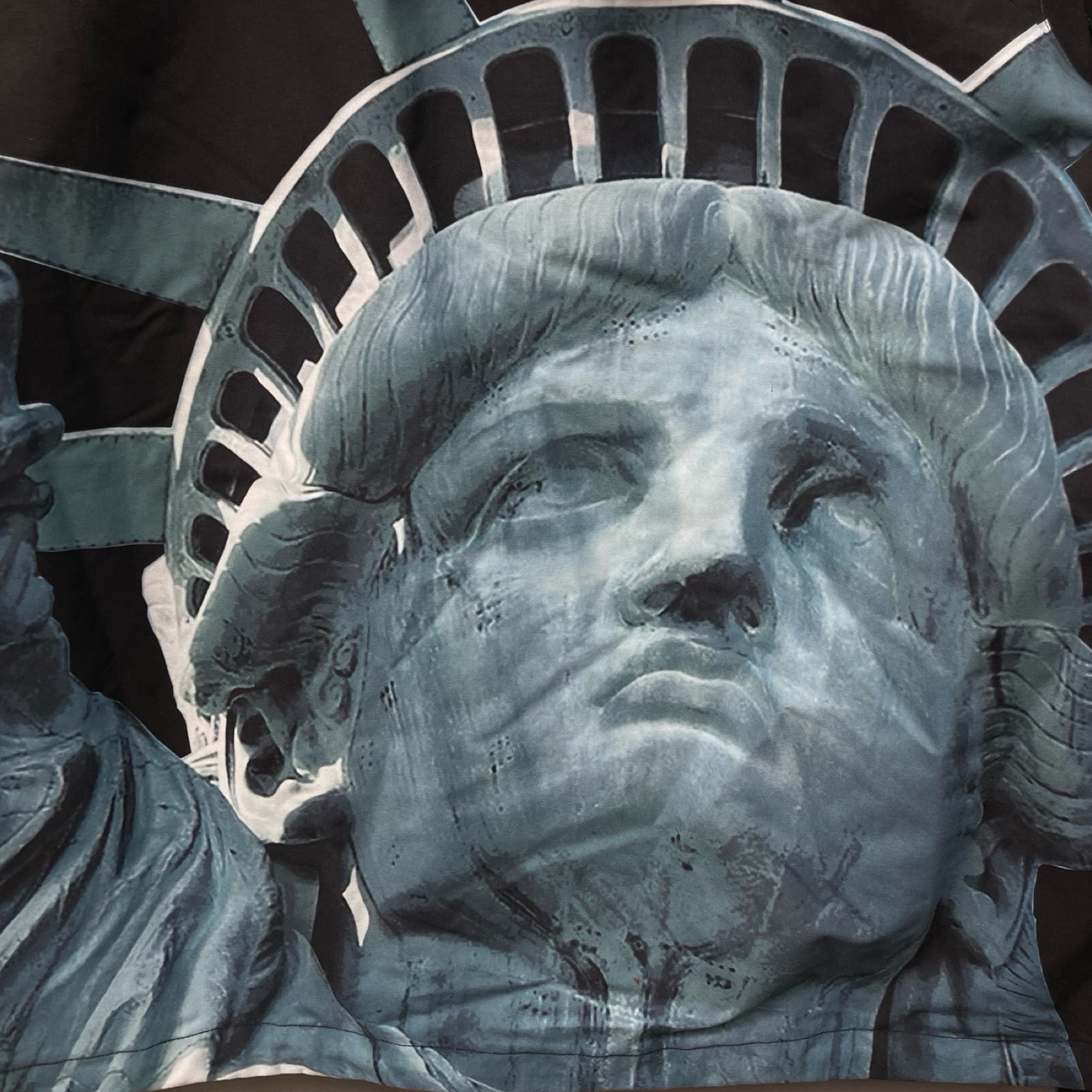 Supreme × THE NORTH FACE 2019AW Statue Of Liberty Mountain Jacket Size M