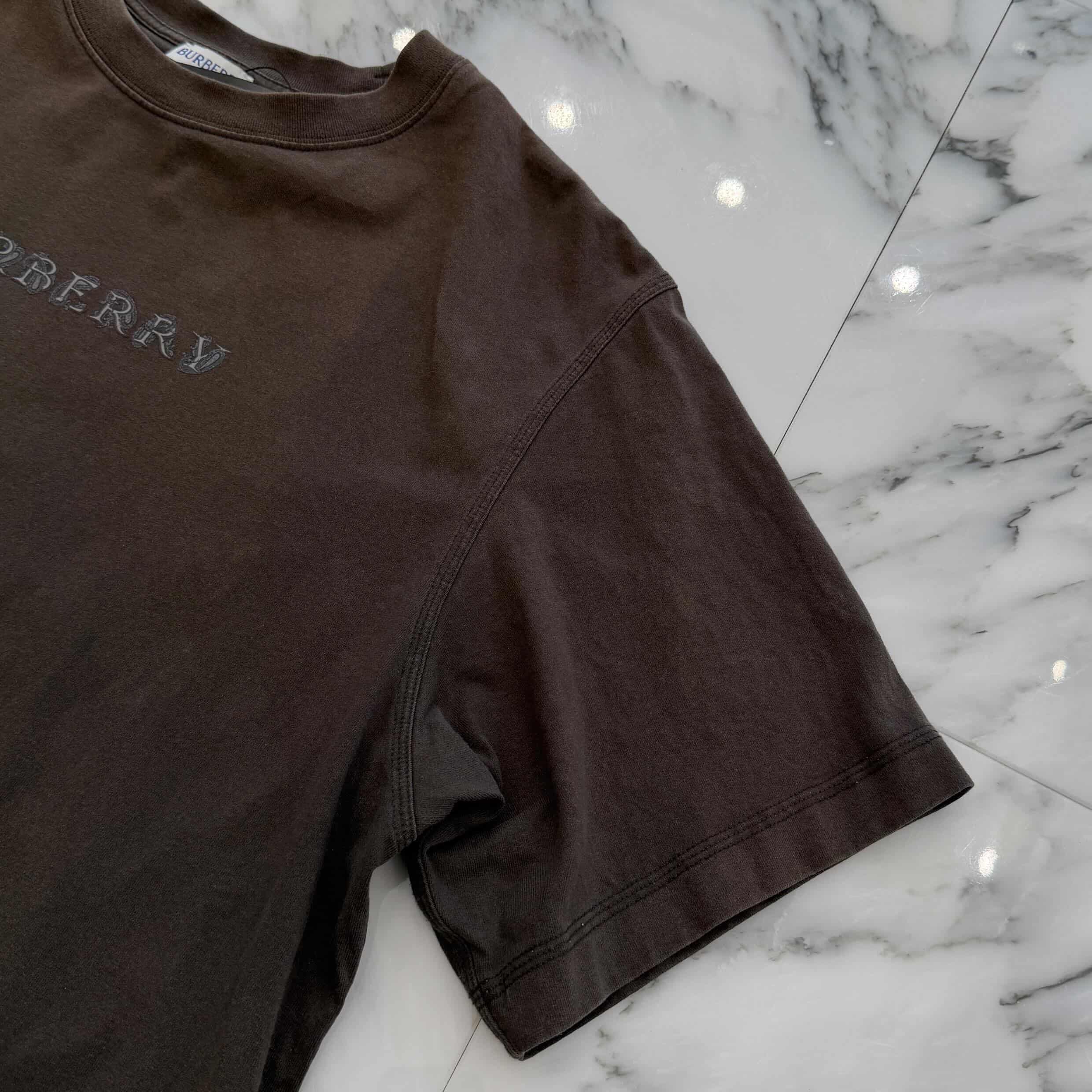 BURBERRY 2024AW Paisley Logo Print Tee 8097875 Size XXL バーバリー ペイズリー ロゴプリント Tシャツ サイズXXL