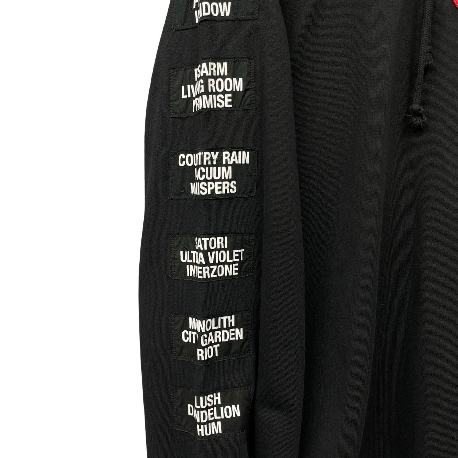 RAF SIMONS 2021SS Teenage Dreams Oversized Hoodie 211-M175D-19003