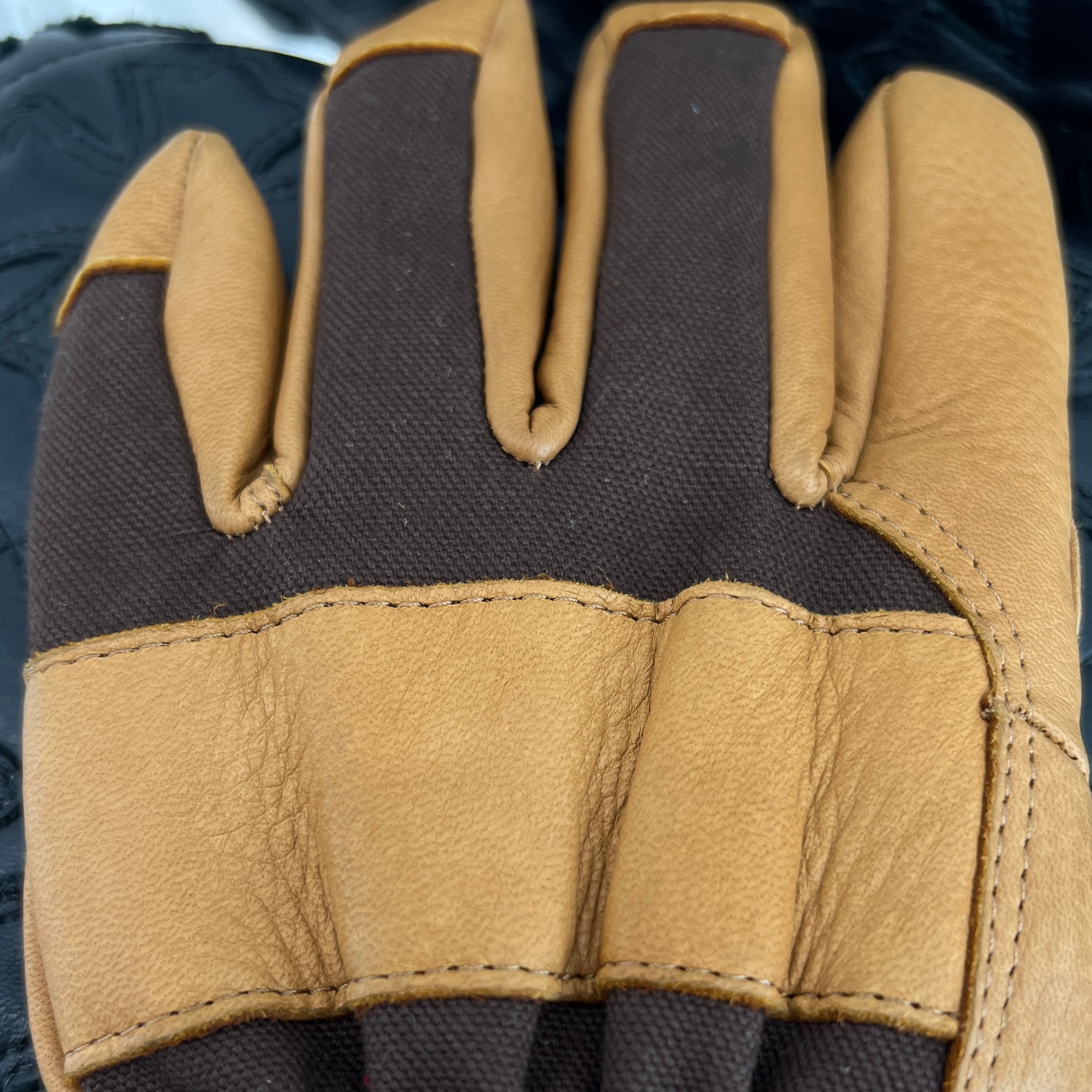 CHROME HEARTS Leather Cross Patch Globe Size M クロムハーツ レザークロスパッチ グローブ サイズM