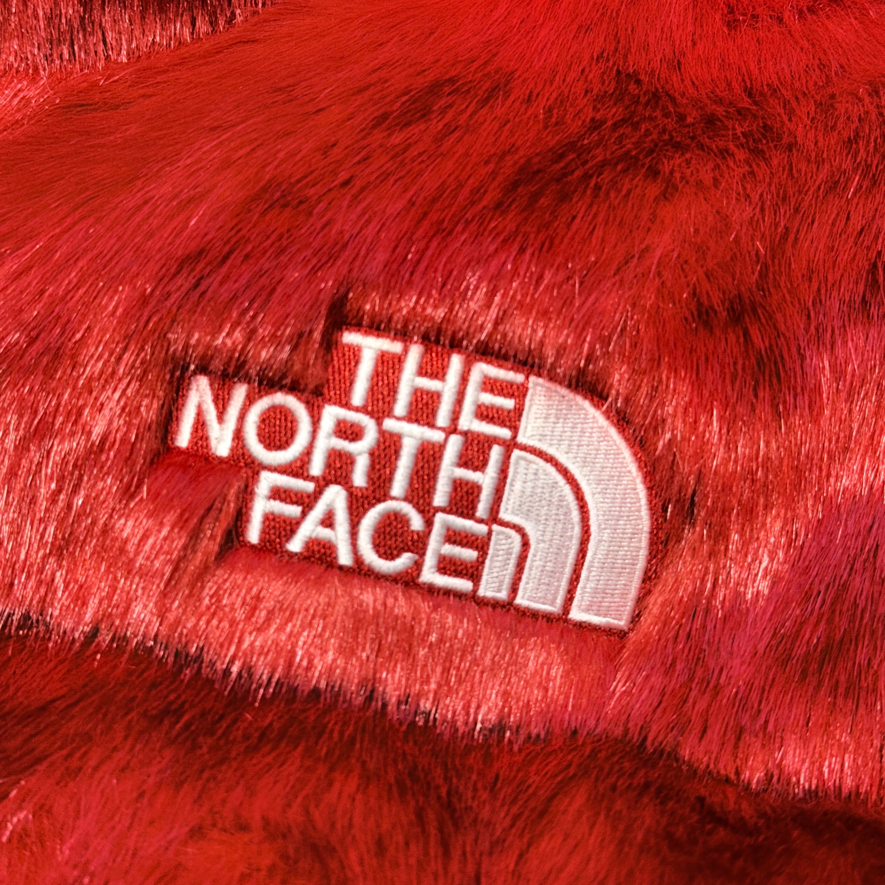 Supreme × THE NORTH FACE 2020AW Faux Fur Nuptse Down Jacket Size L