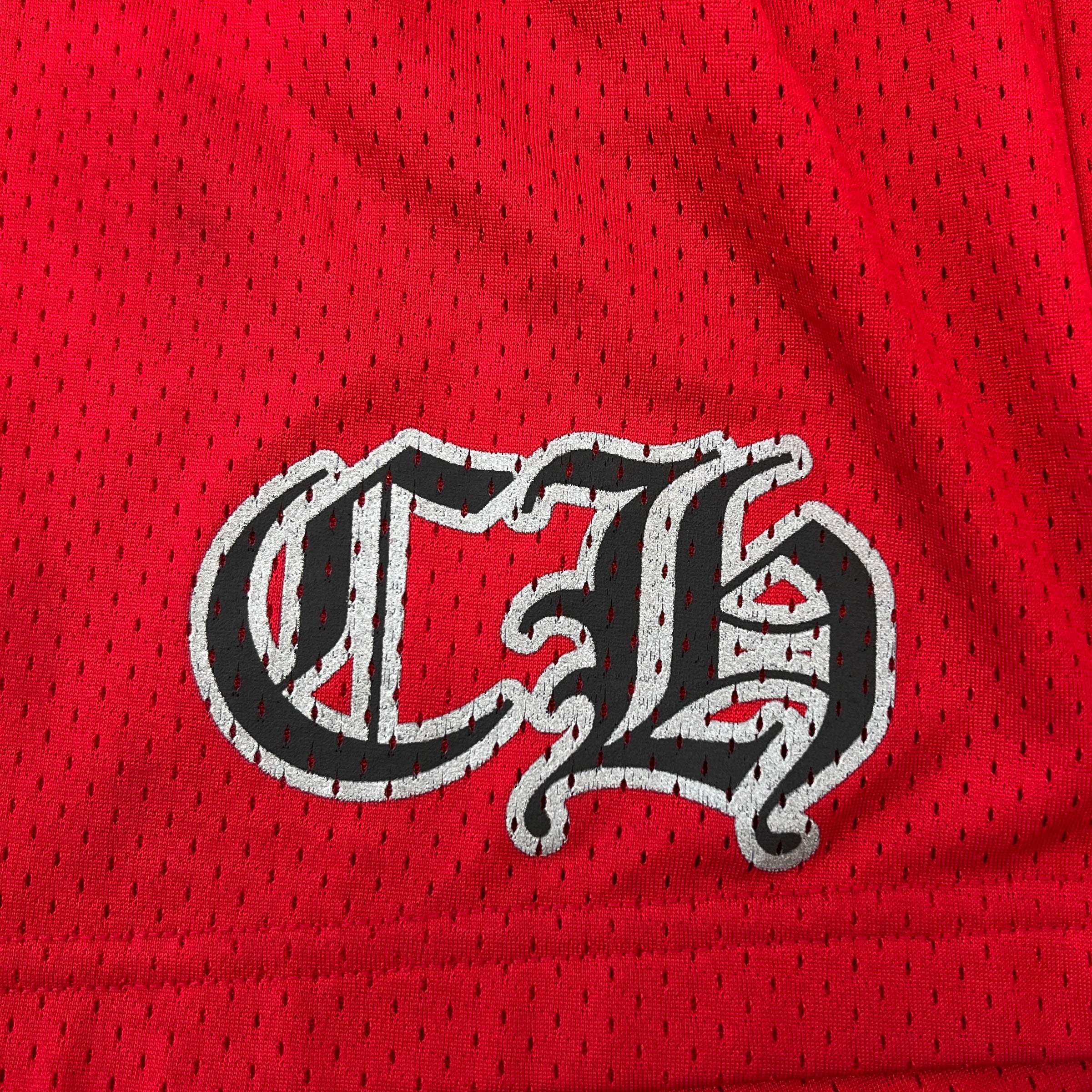 CHROME HEARTS × MATTY BOY "TEAM" Mesh Varsity Shorts Size S クロムハーツ × マッティボーイ チームメッシュバーシティ ショーツ サイズS