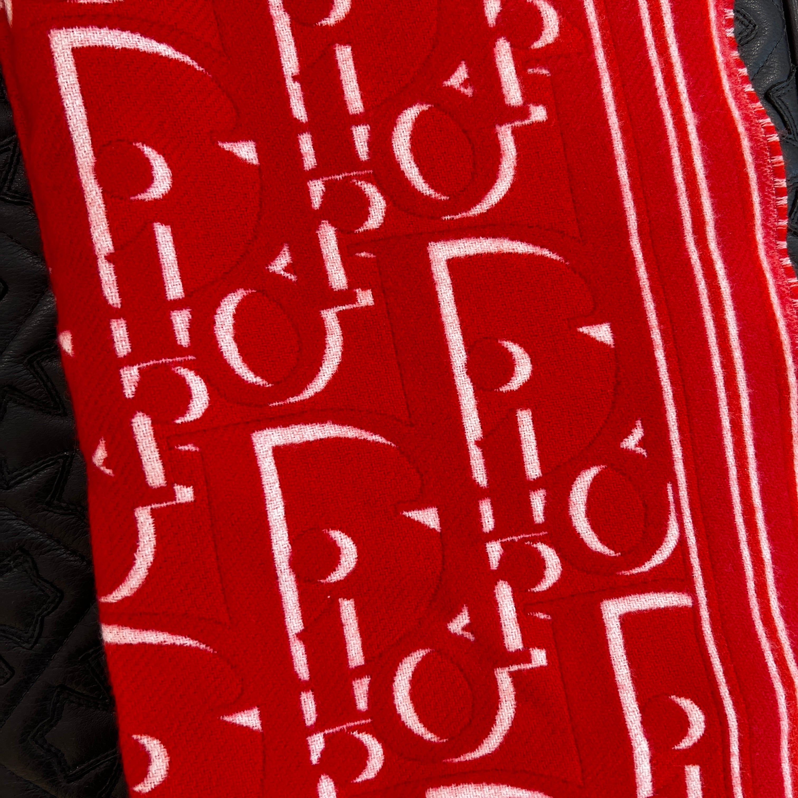 DIOR × Kaws 2025SS Snake Embroidered Wool Scarf 51E0007A1015