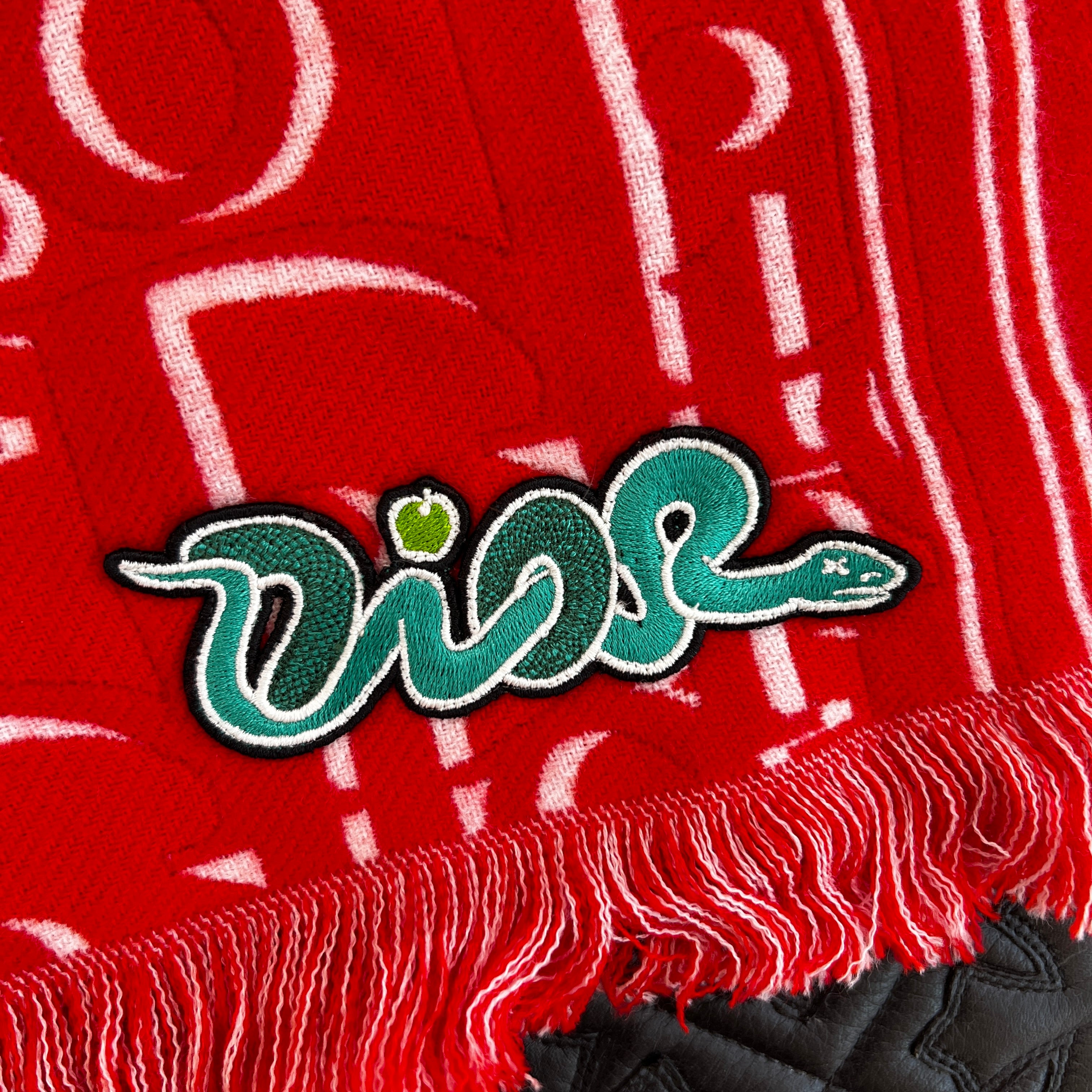 DIOR × Kaws 2025SS Snake Embroidered Wool Scarf 51E0007A1015