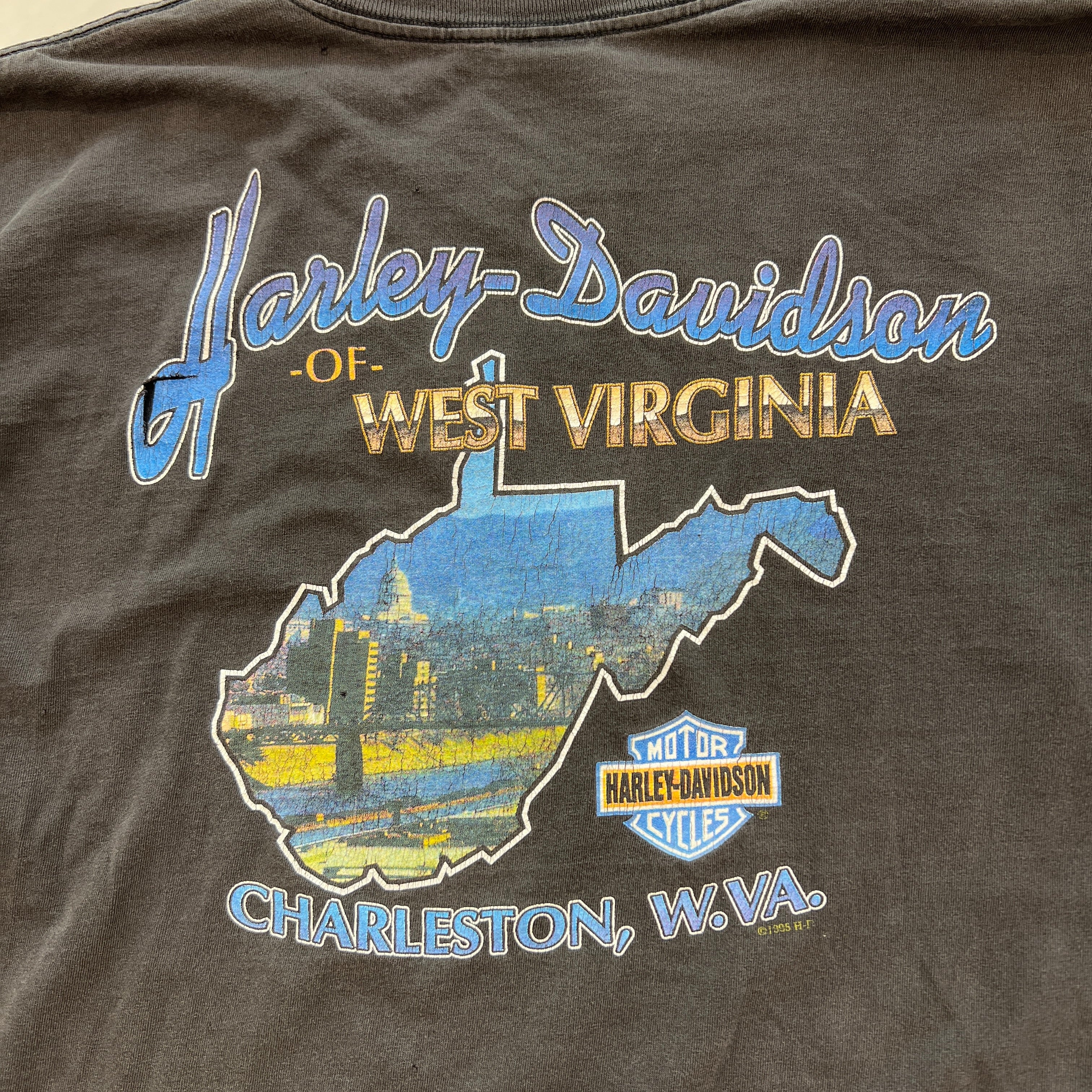 Vintage 90's Harley-Davidson "Pegasus Thunder" L/S Tee Size XL ヴィンテージ 90's ハーレー・ダビットソン アンテイムド "ペガサス サンダー" ロングスリーブTシャツ サイズXL