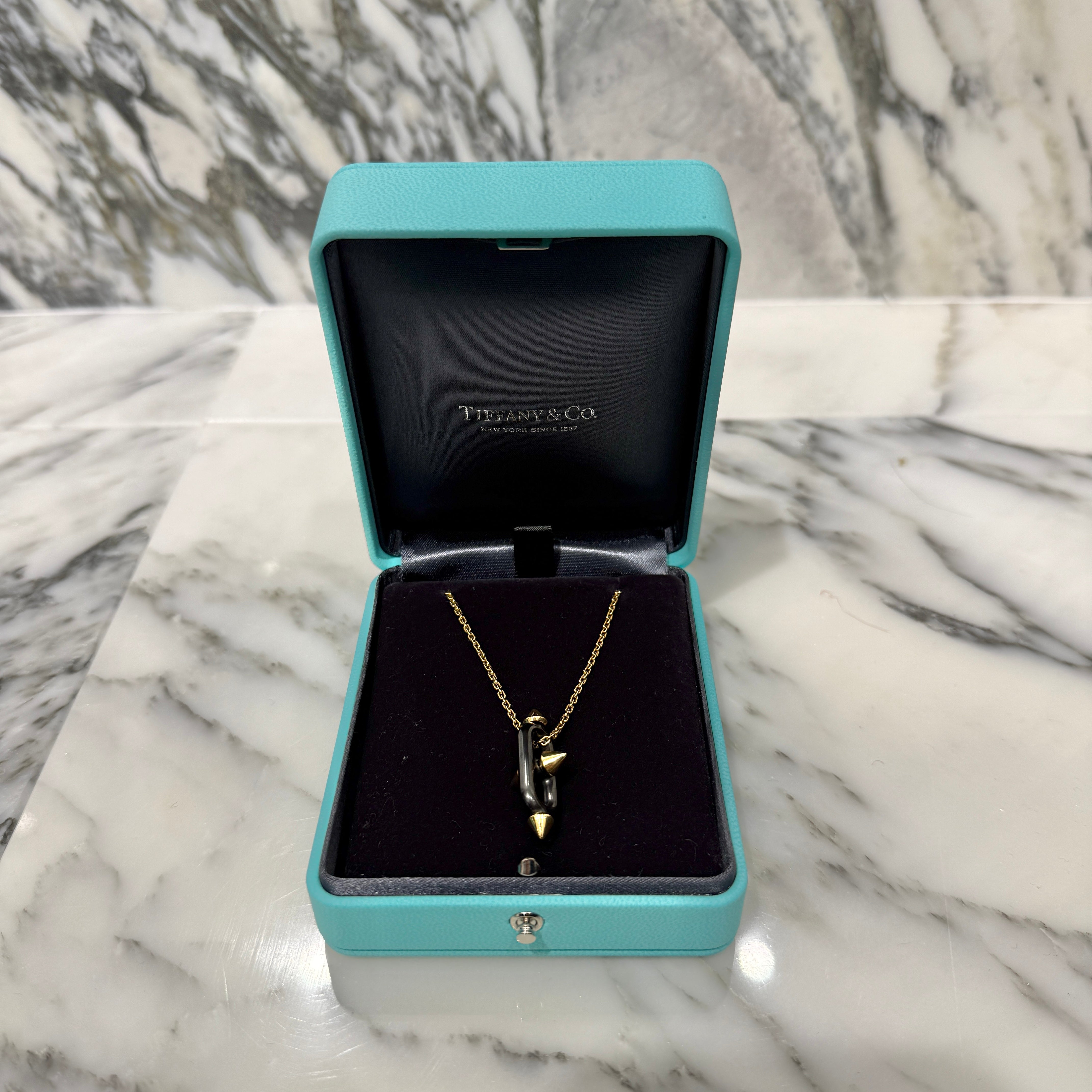 Tiffany Co. 2024SS Titan by Pharrell Williams Titanium And Yellow Gold Pendant ティファニー × ファレルウィリアムス チタニュウムアンドイエローゴールドペンダント