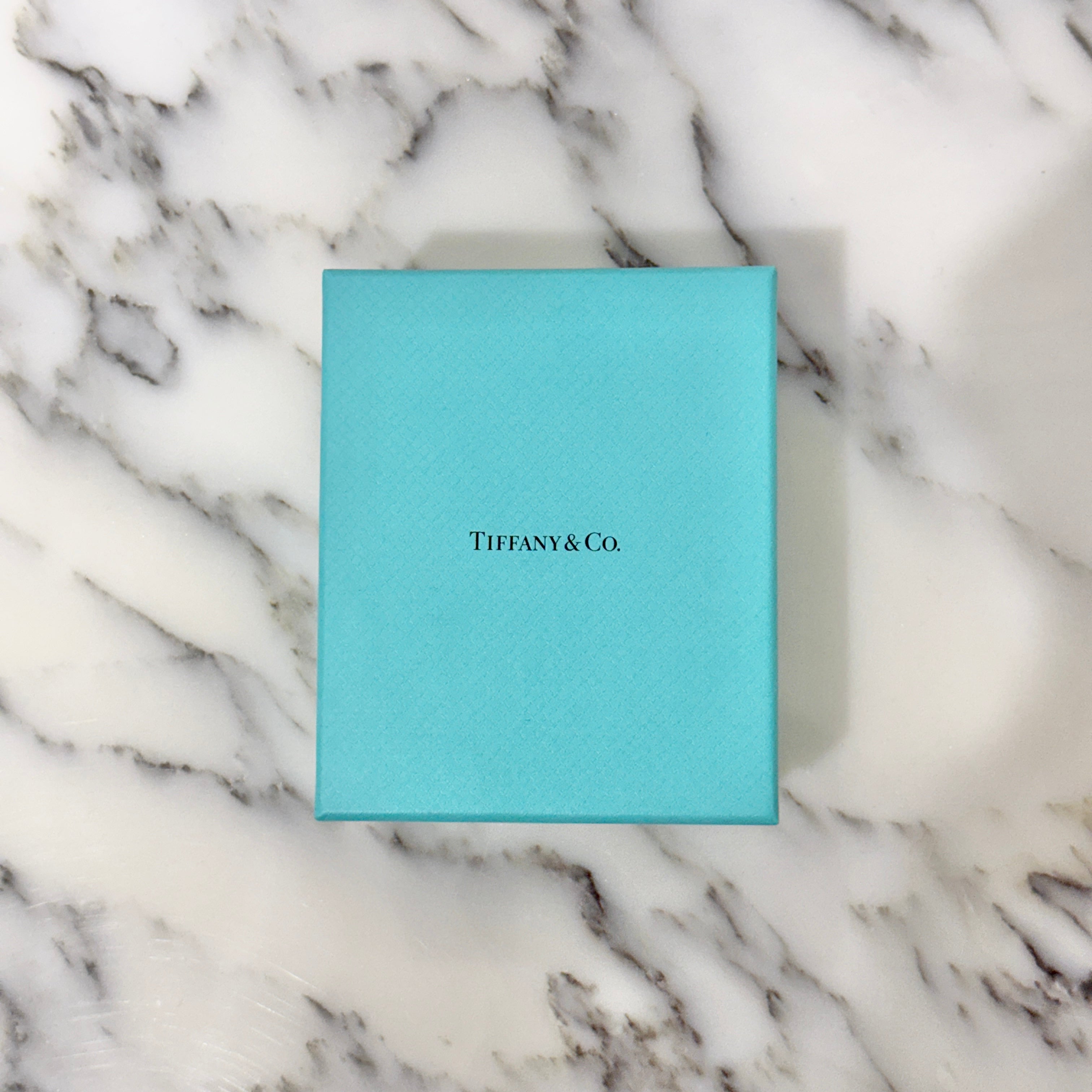 Tiffany Co. 2024SS Titan by Pharrell Williams Titanium And Yellow Gold Pendant ティファニー × ファレルウィリアムス チタニュウムアンドイエローゴールドペンダント