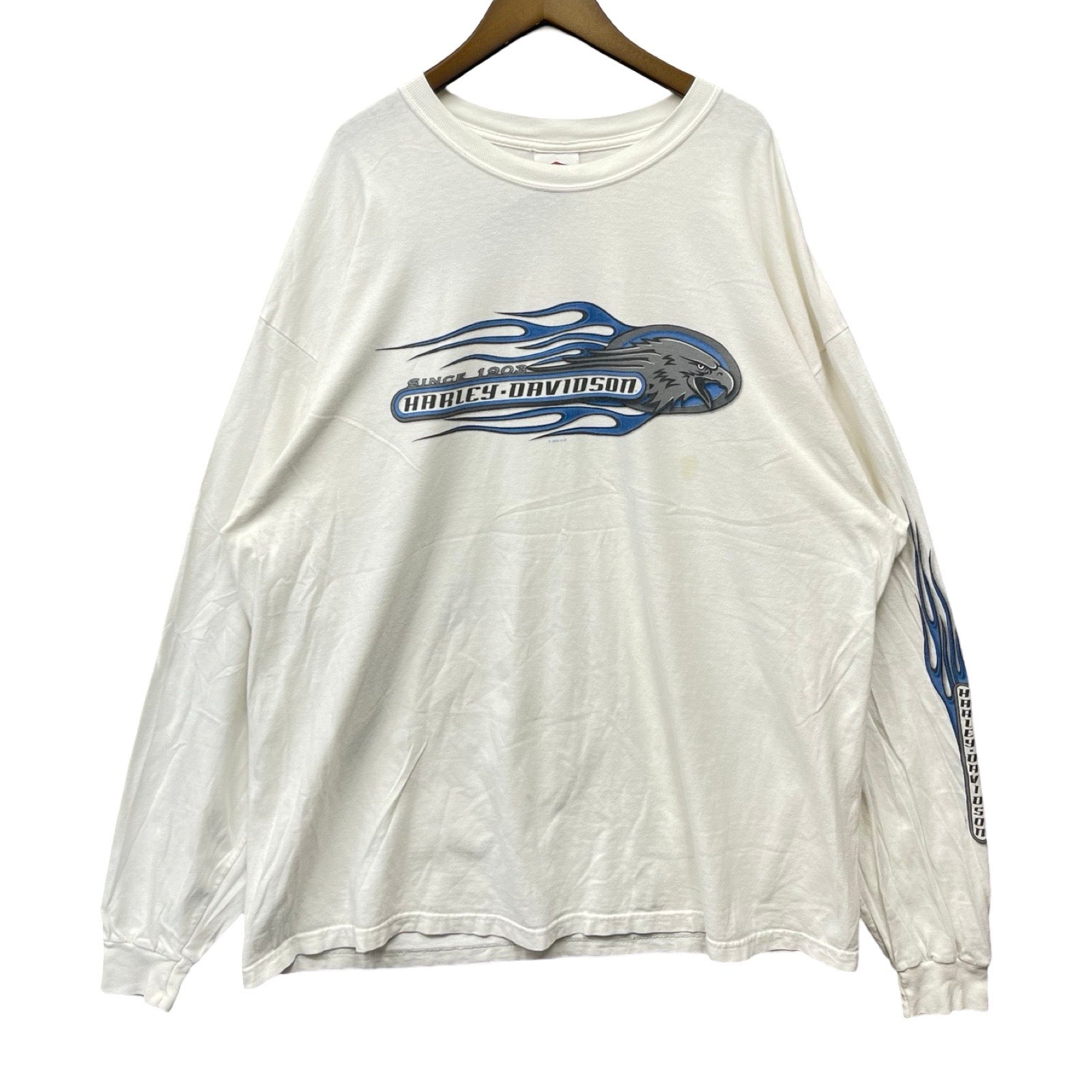 Vintage 00's Harley-Davidson "SAUK PRAIRIE" Blue Eagle 2003 L/S Tee Size XXL