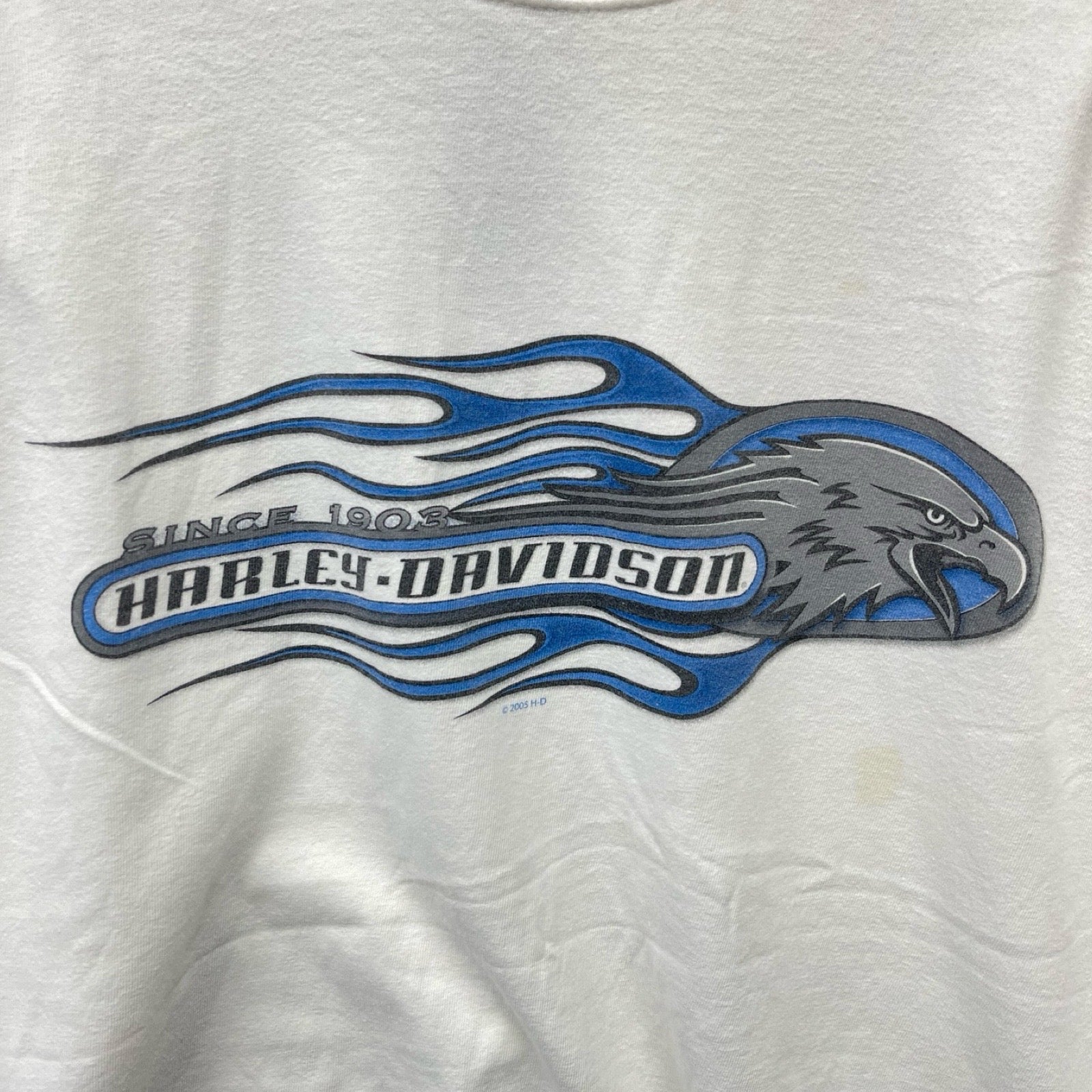 Vintage 00's Harley-Davidson "SAUK PRAIRIE" Blue Eagle 2003 L/S Tee Size XXL