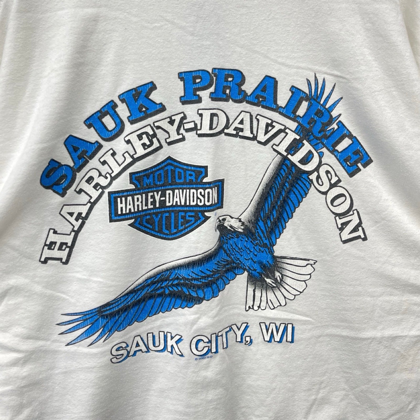Vintage 00's Harley-Davidson "SAUK PRAIRIE" Blue Eagle 2003 L/S Tee Size XXL