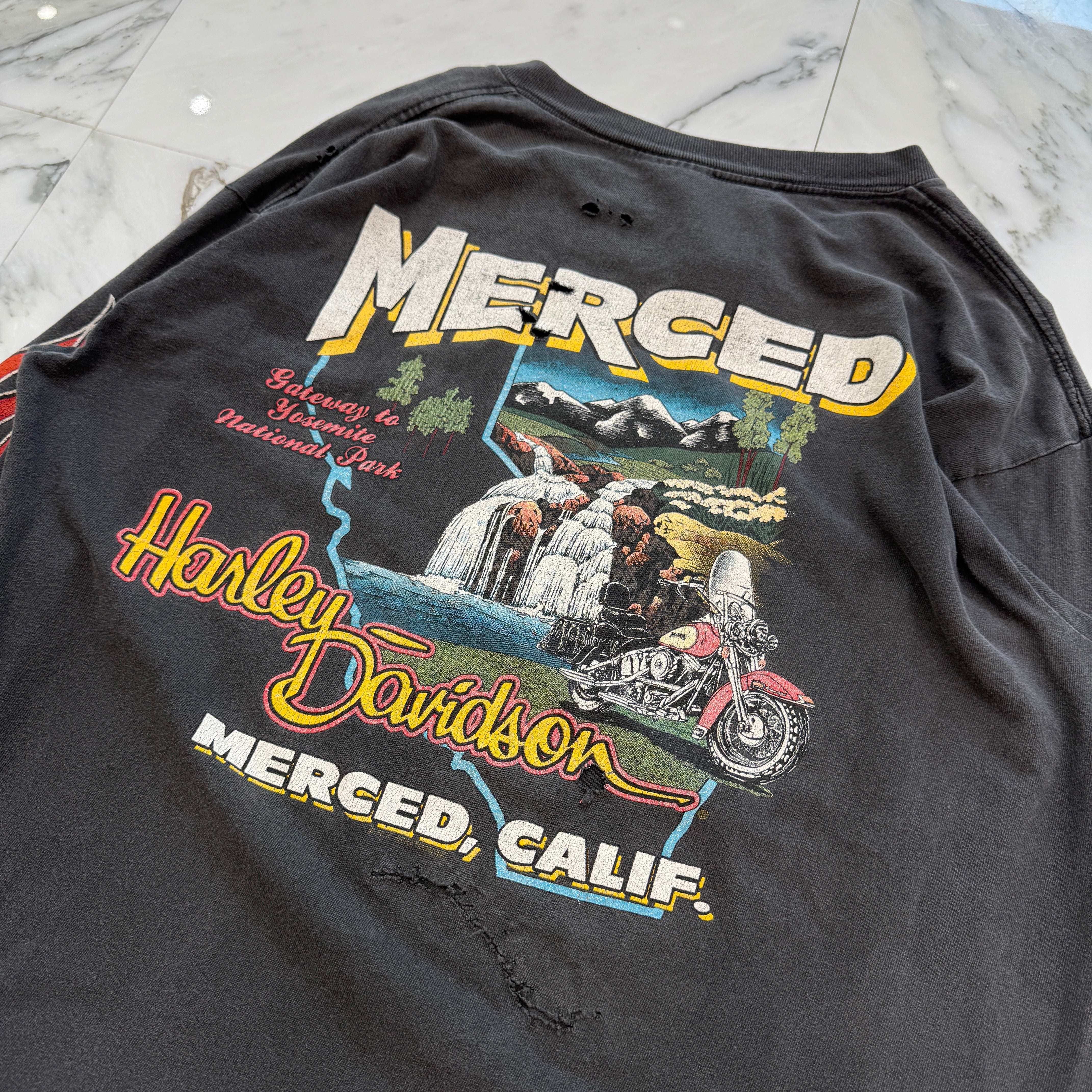 Vintage 90's Harley-Davidson UNTAMED "Tiger Flame" L/S Tee 90's ハーレー・ダビットソン アンテイムド "タイガーフレイム" ロングスリーブTシャツ