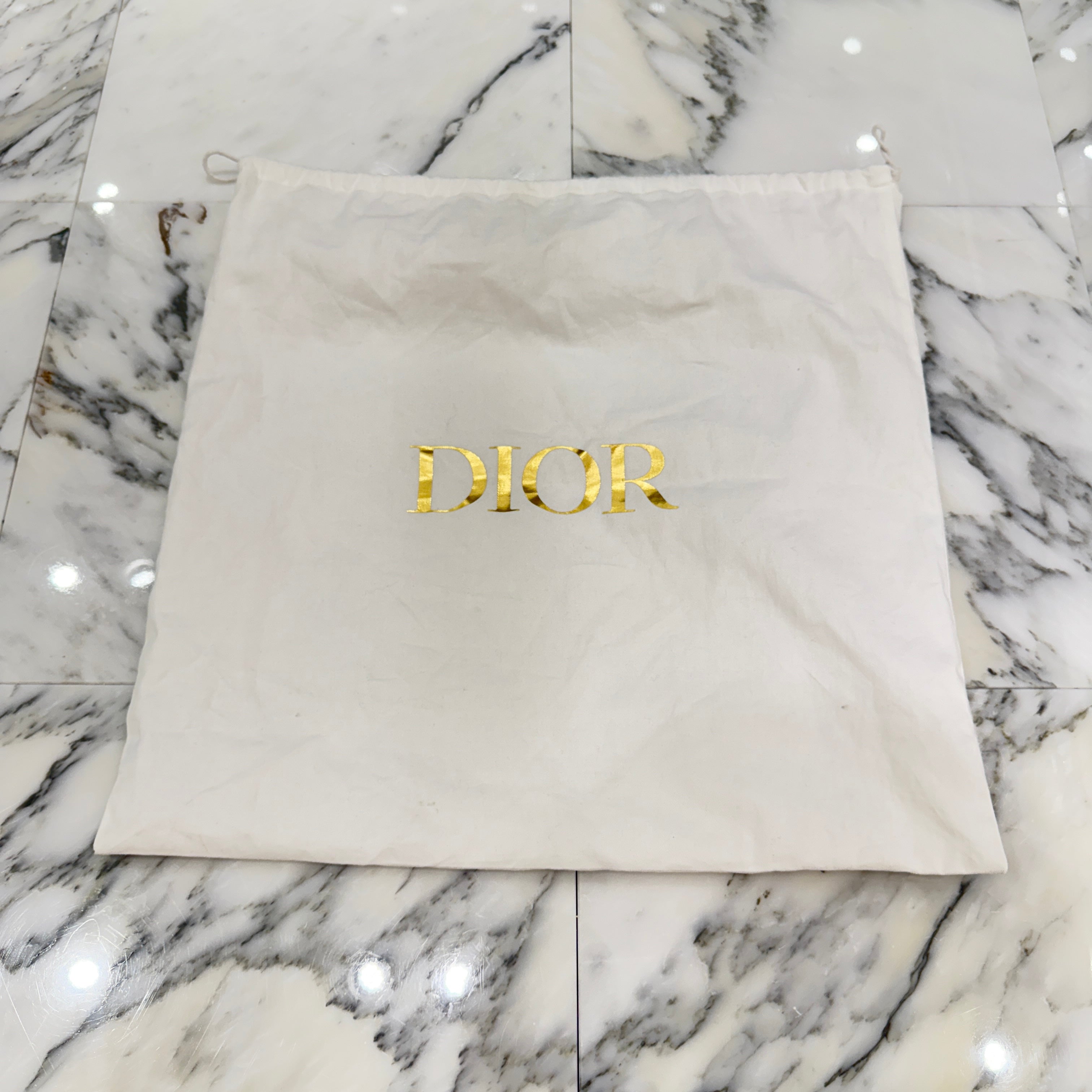 DIOR Eiffel Tower Motif Book Tote Bag Medium ディオール エッフェル