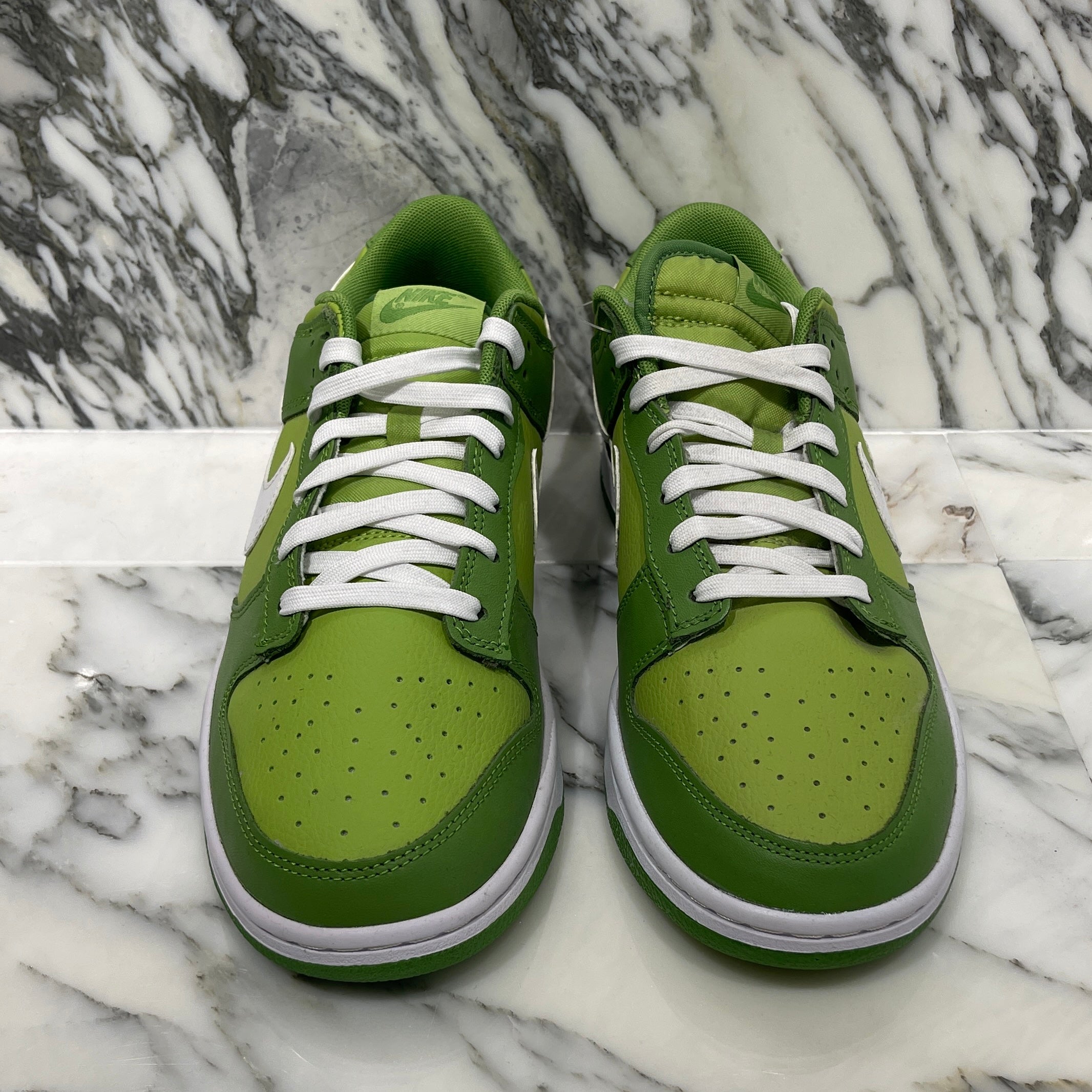 NIKE 2022AW SB DUNK LOW RETRO Chlorophyll DJ6188-300 Size US10(28cm) ナイキ SB ダンク ロー レトロ クロロフィル サイズUS10(28cm)