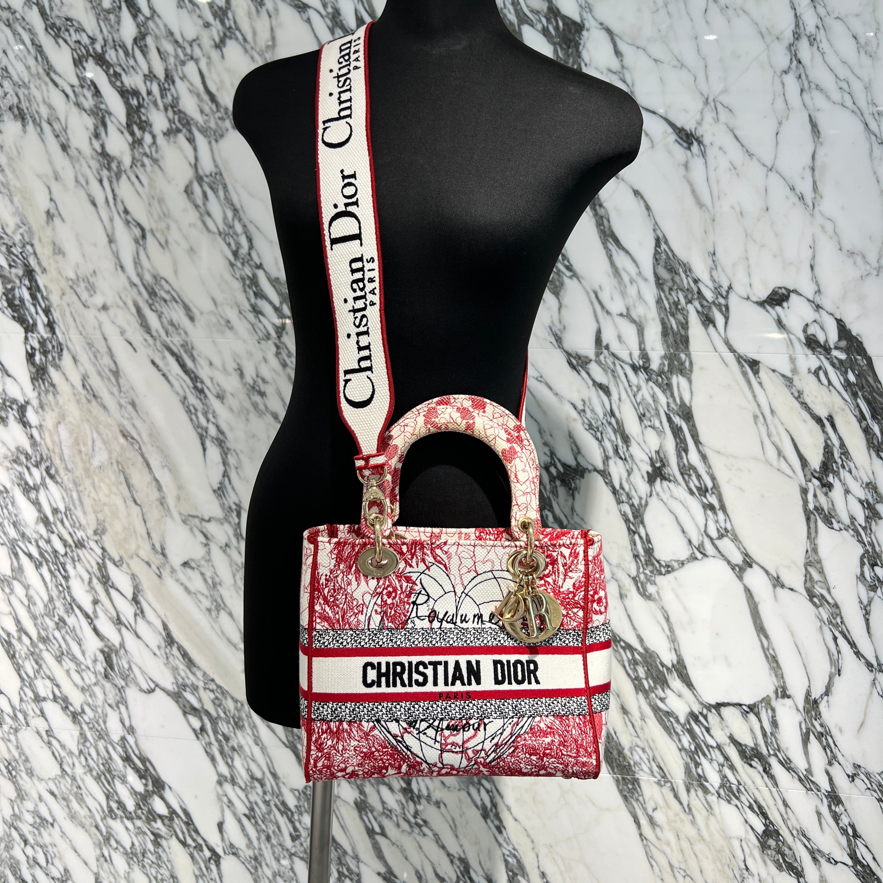 DIOR 2021AW Christian Dior LADY D-Lite Medium Raoyaume d'Amour 2WAY Bag ディオール クリスチャン・ディオール レディ ディーライト ミディアム Raoyaume d'Amour 2ウェイ バッグ