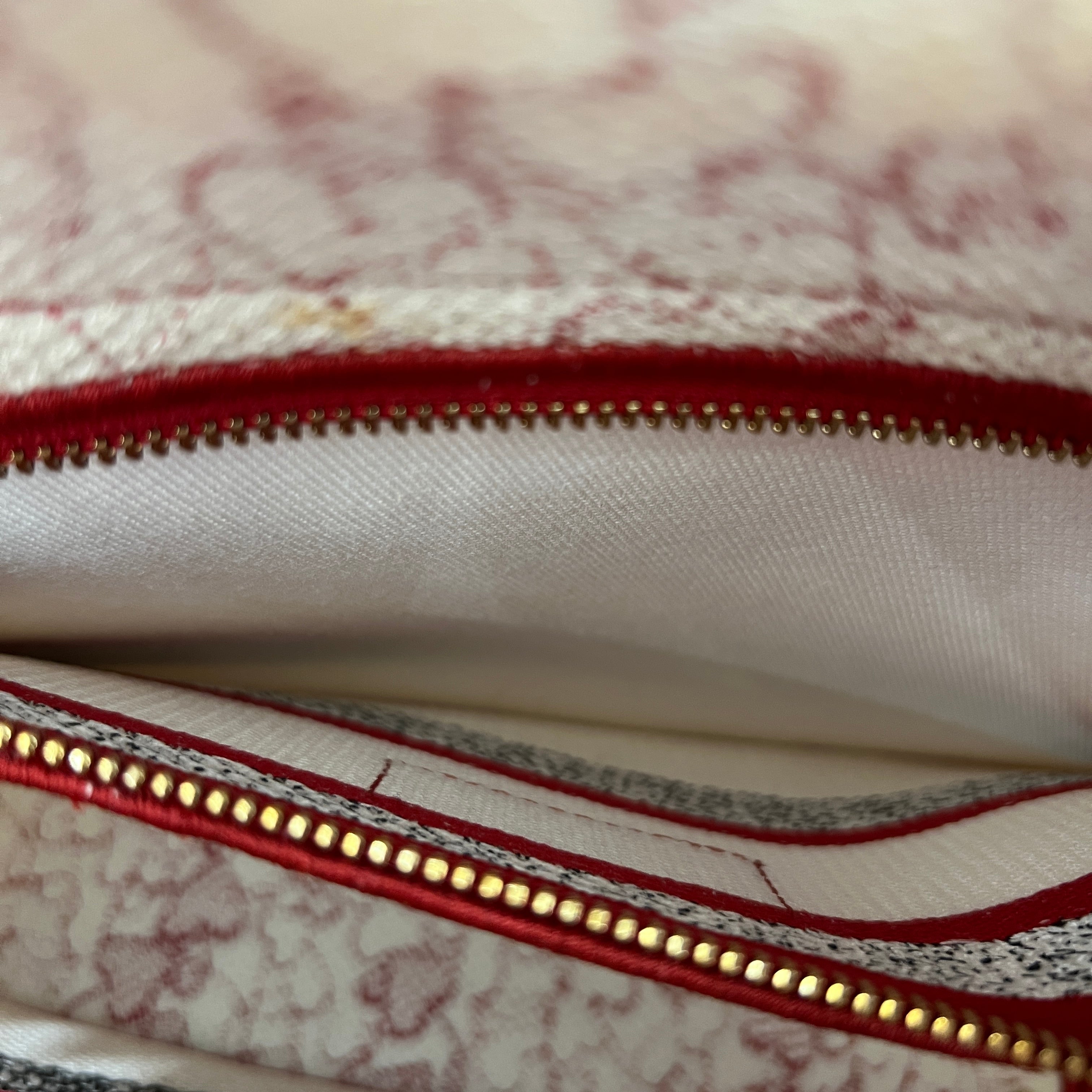 DIOR 2021AW Christian Dior LADY D-Lite Medium Raoyaume d'Amour 2WAY Bag ディオール クリスチャン・ディオール レディ ディーライト ミディアム Raoyaume d'Amour 2ウェイ バッグ