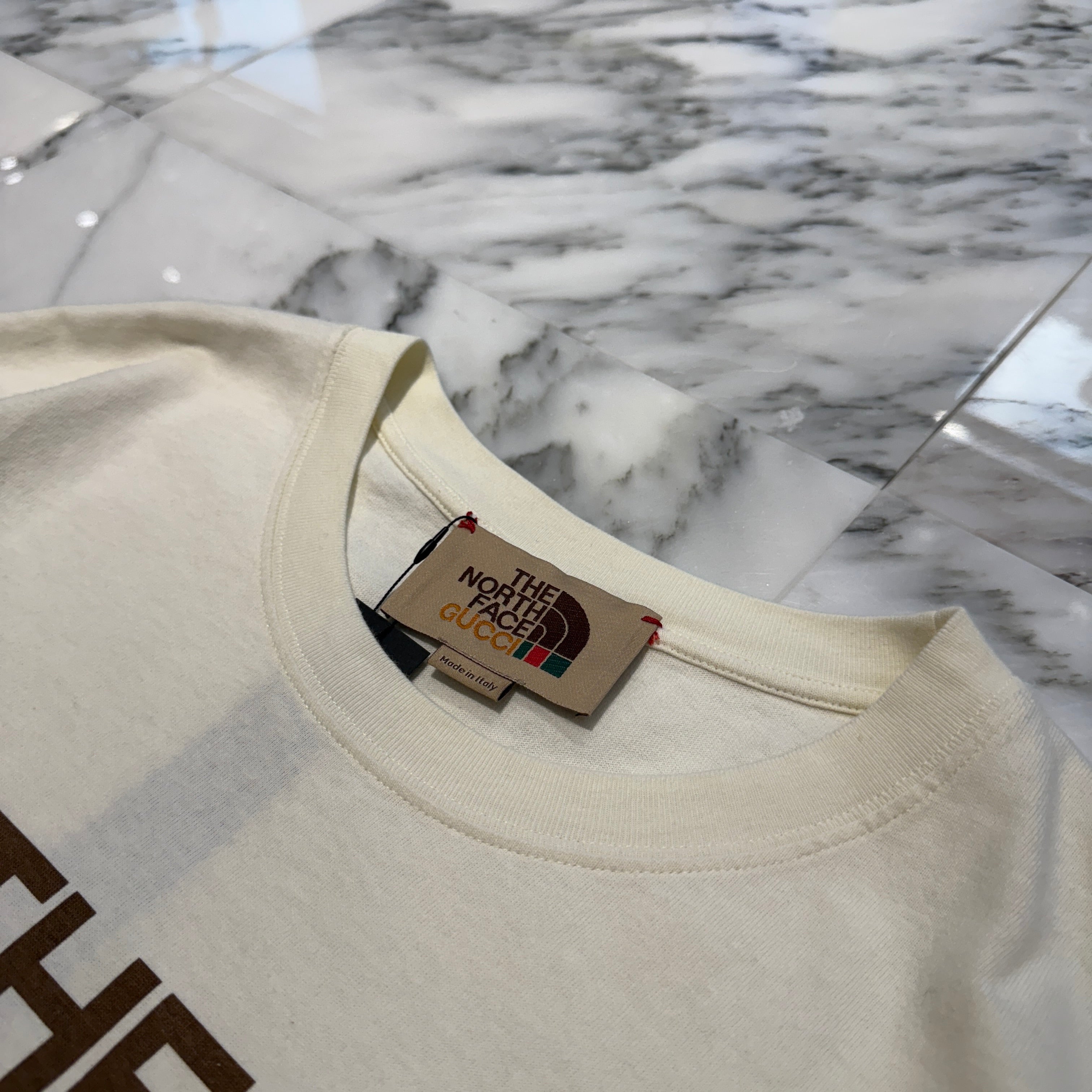 GUCCI × THE NORTH FACE 2021SS Double Name Oversized Logo Print Tee 616036 XJDCL Size XS グッチ×ノースフェイス ダブルネーム オーバーサイズ ロゴプリント Tシャツ サイズXS